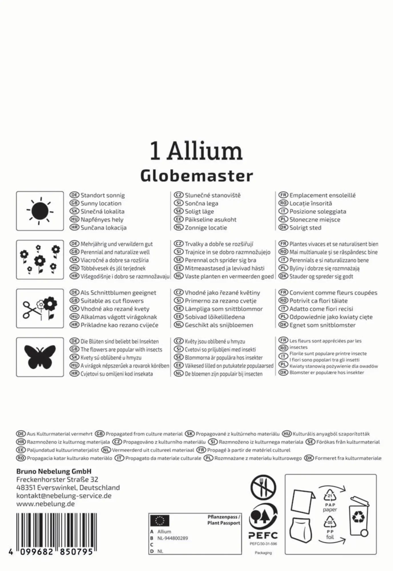 Kiepenkerl Herbstblumenzwiebel Profi-Line Zierlauch Globemaster 1 Stück