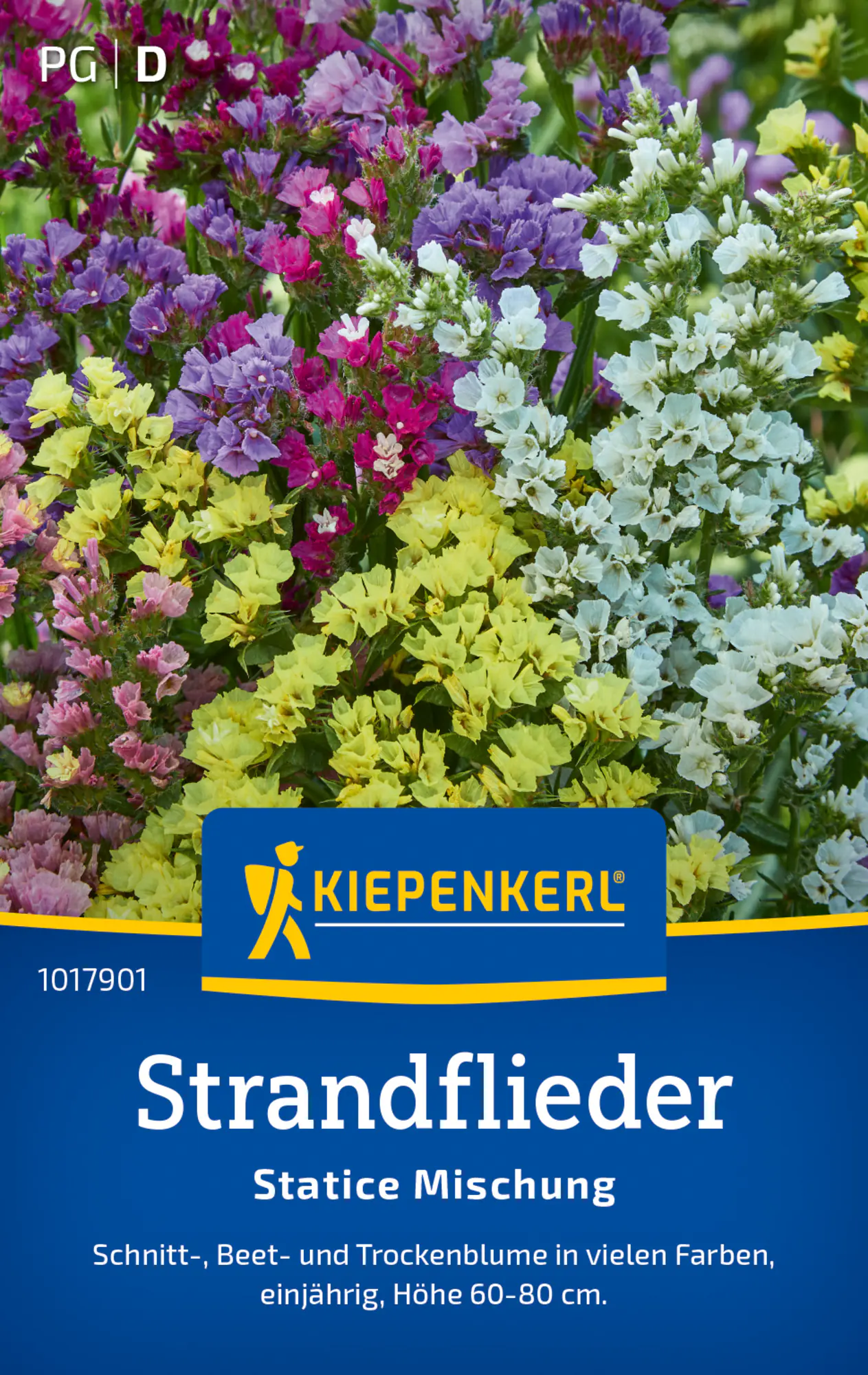Kiepenkerl Blumensamen Strandflieder Statice Mischung für ca. 60 Pflanzen