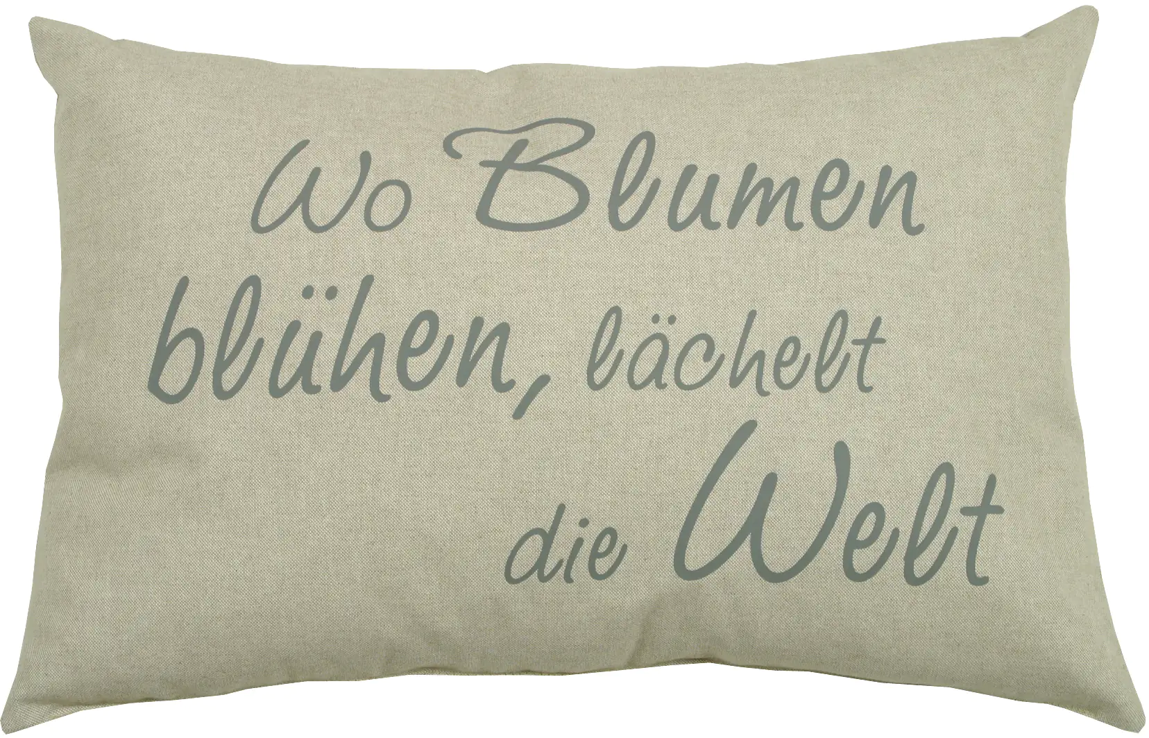 GO-DE Sprüchekissen 60 x 40 x 12 cm, beige