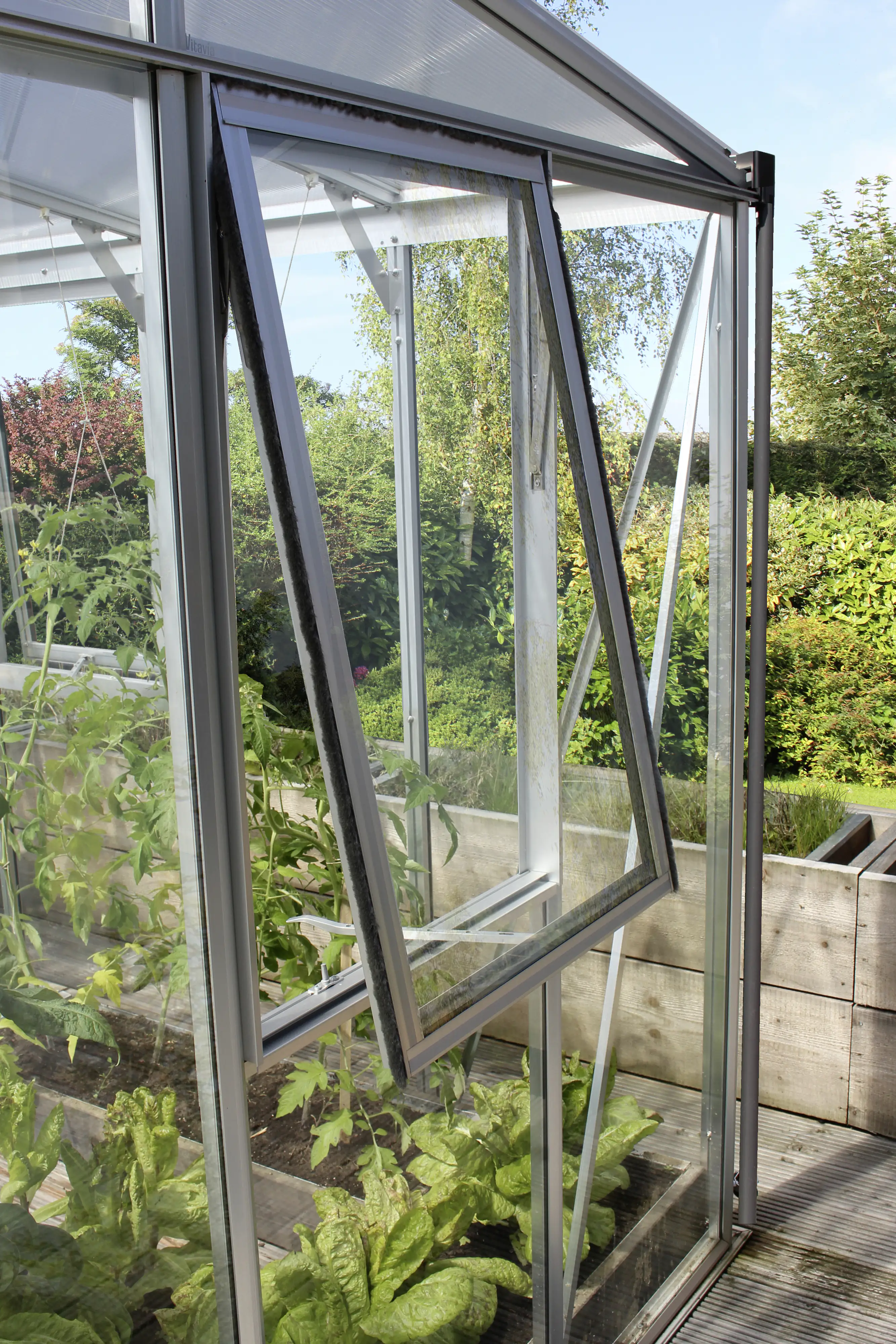 Vitavia Seitenfenster H zu Gewächshaus Helena Aphrodite aluminium Vitavia Seitenfenster H zu Gewächshaus Helena Aphrodite aluminium
