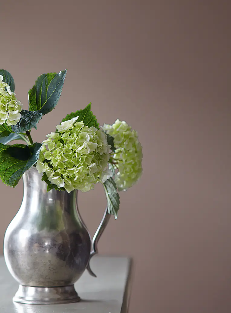 Alpina Feine Farben Wandfarbe No. 05 Dichter der Erde - nobles erdbraun 2,5 L