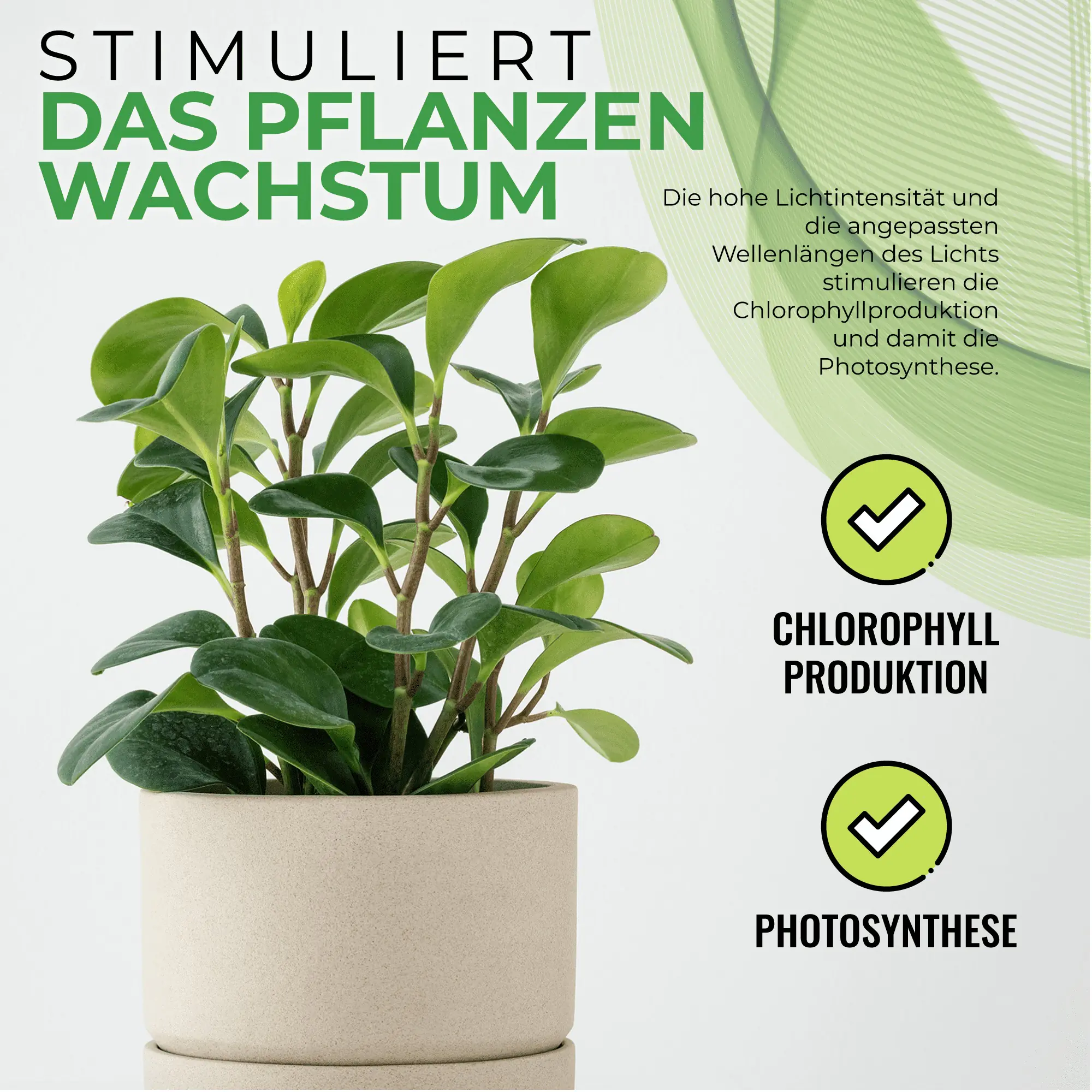 Bio Green Pflanzenleuchte Florabooster 200 60 cm