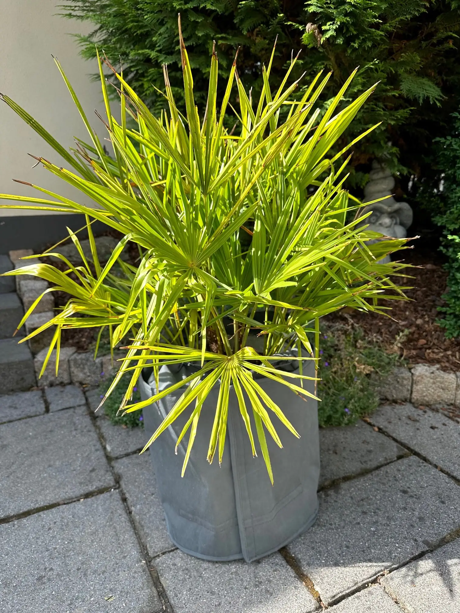 Kältetopfschutz Ø 50 cm x H. 70 cm grau Kältetopfschutz Ø 50 cm x H. 70 cm grau