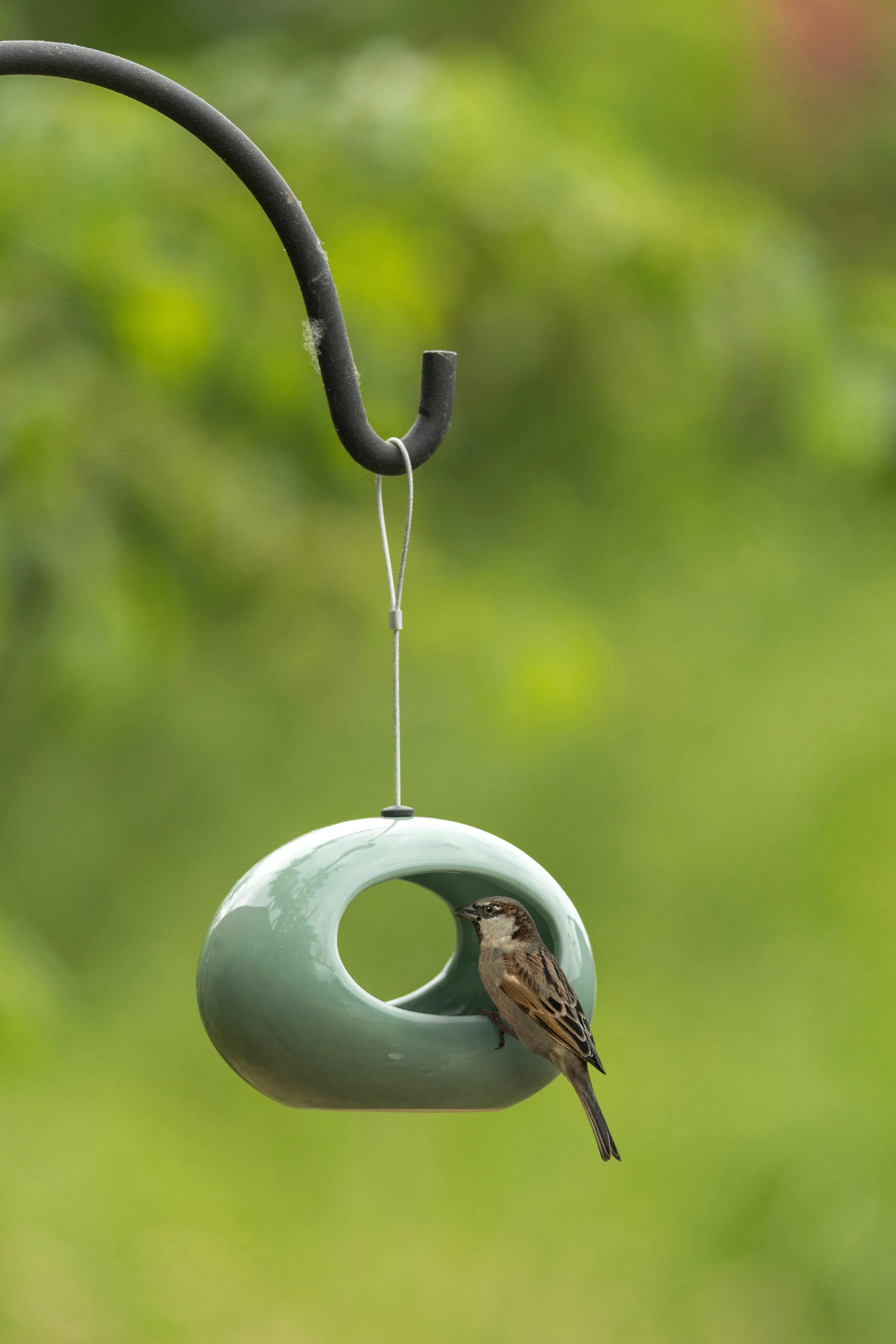 Wildlife Hängende Wasserschale Selo grün 12 x 16 x 11 cm Wildlife Hängende Wasserschale Selo grün 12 x 16 x 11 cm