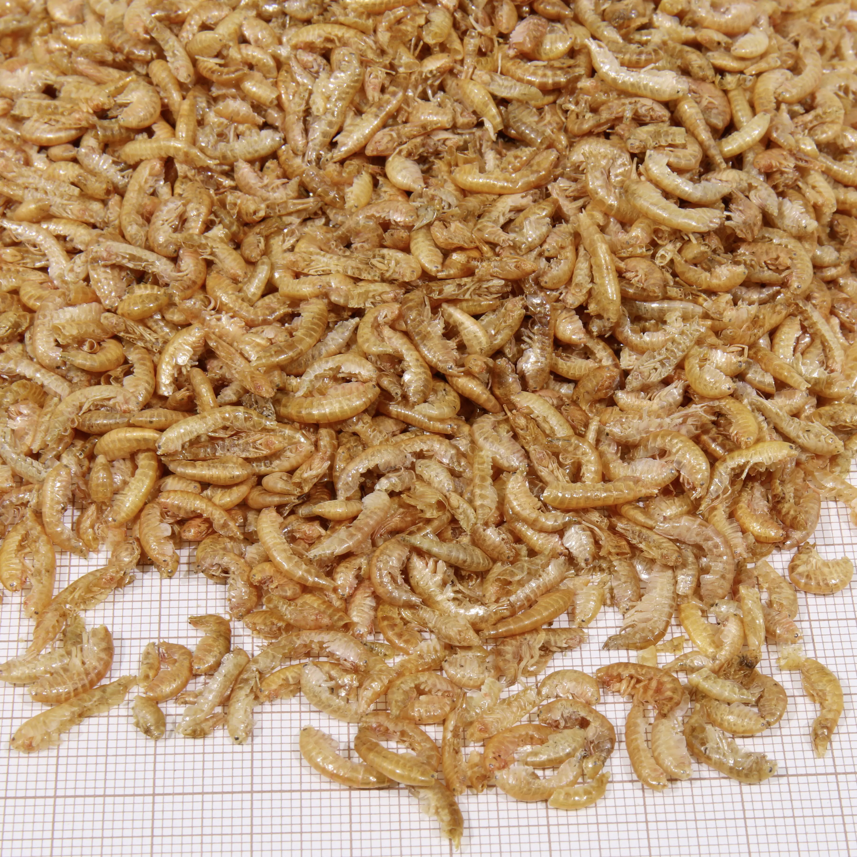 JBL Schildkrötenfutter Proterra Gammarus 250 ml