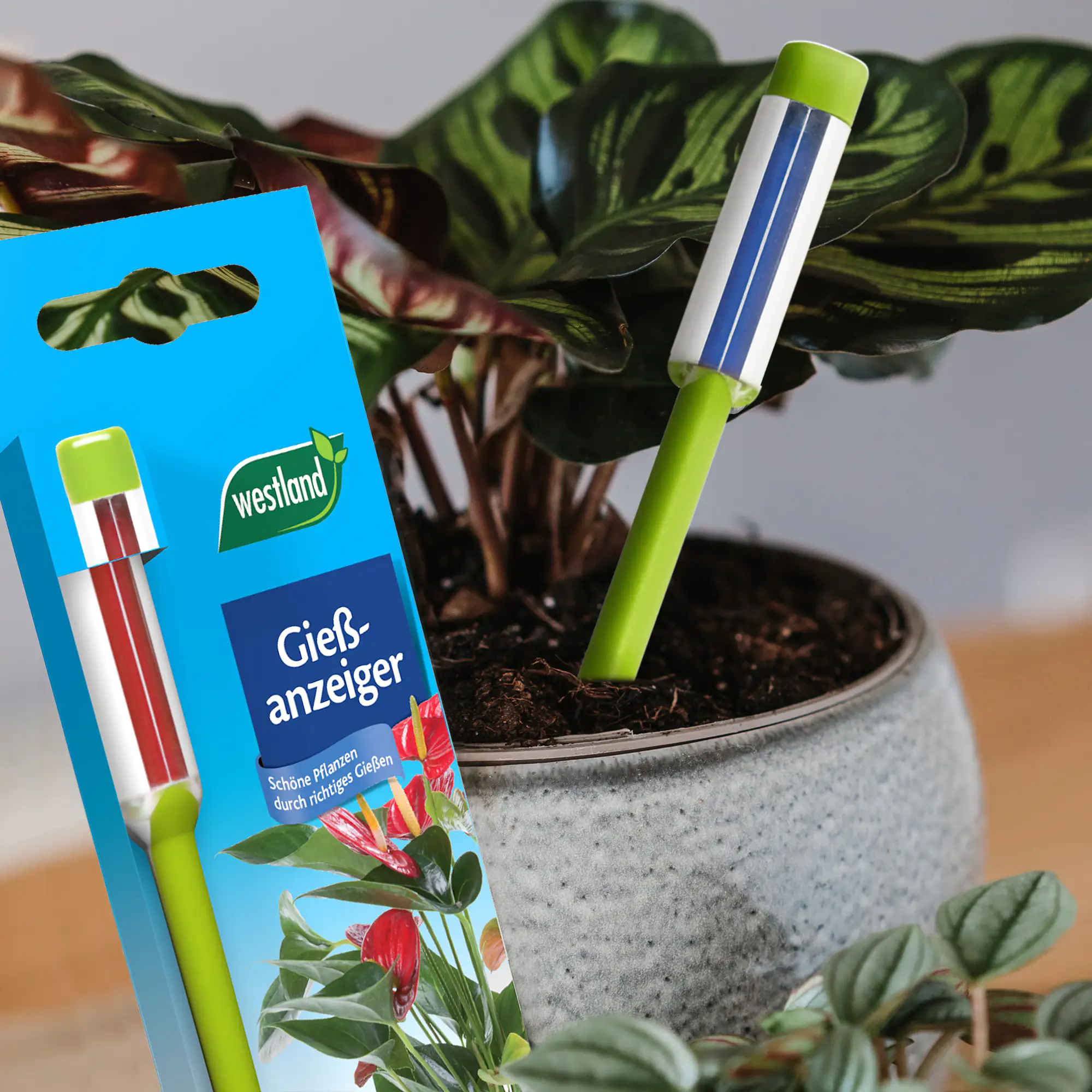 Westland Gießanzeiger klein apfelgrün 16 cm