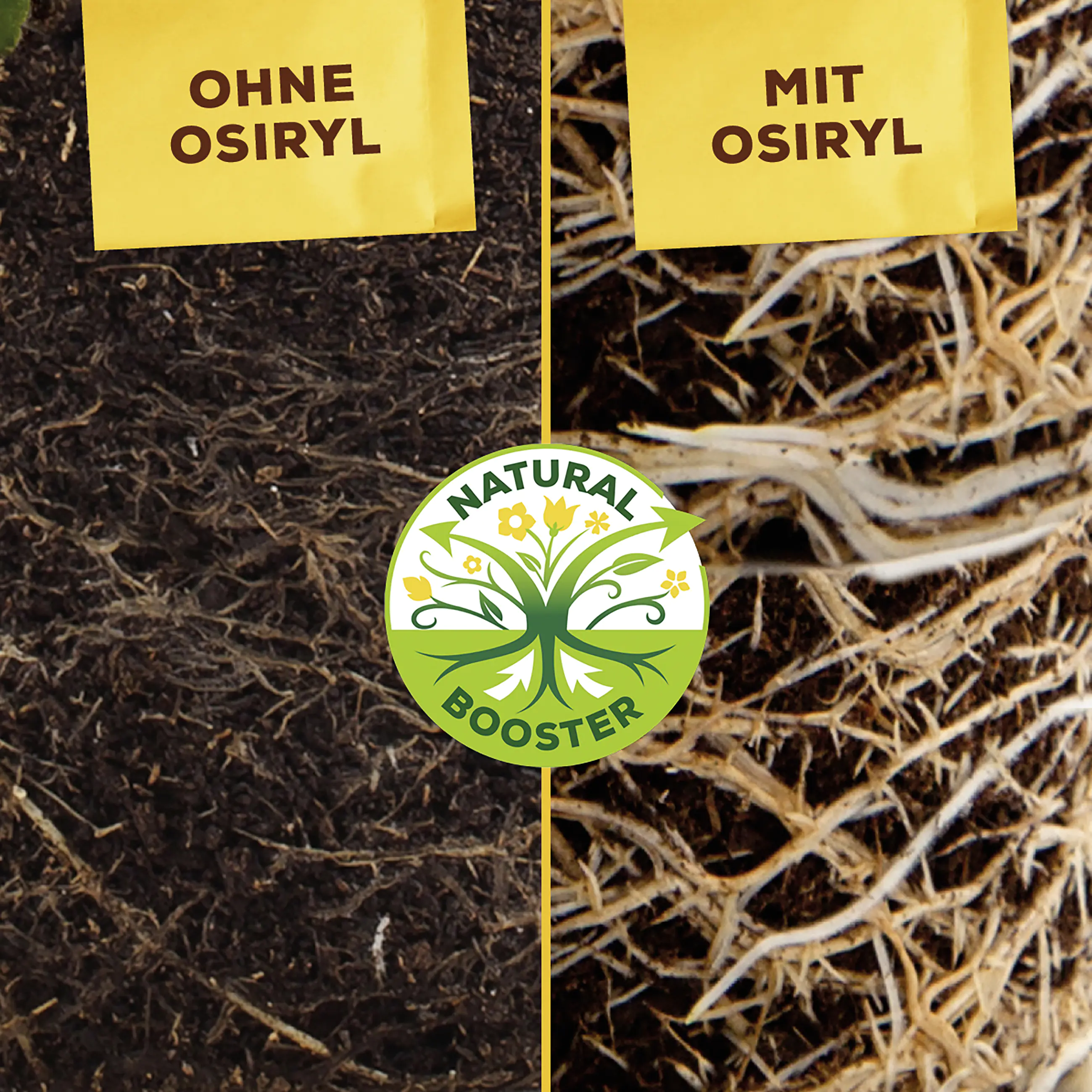 Solabiol Rasen-Langzeitdünger 10 kg