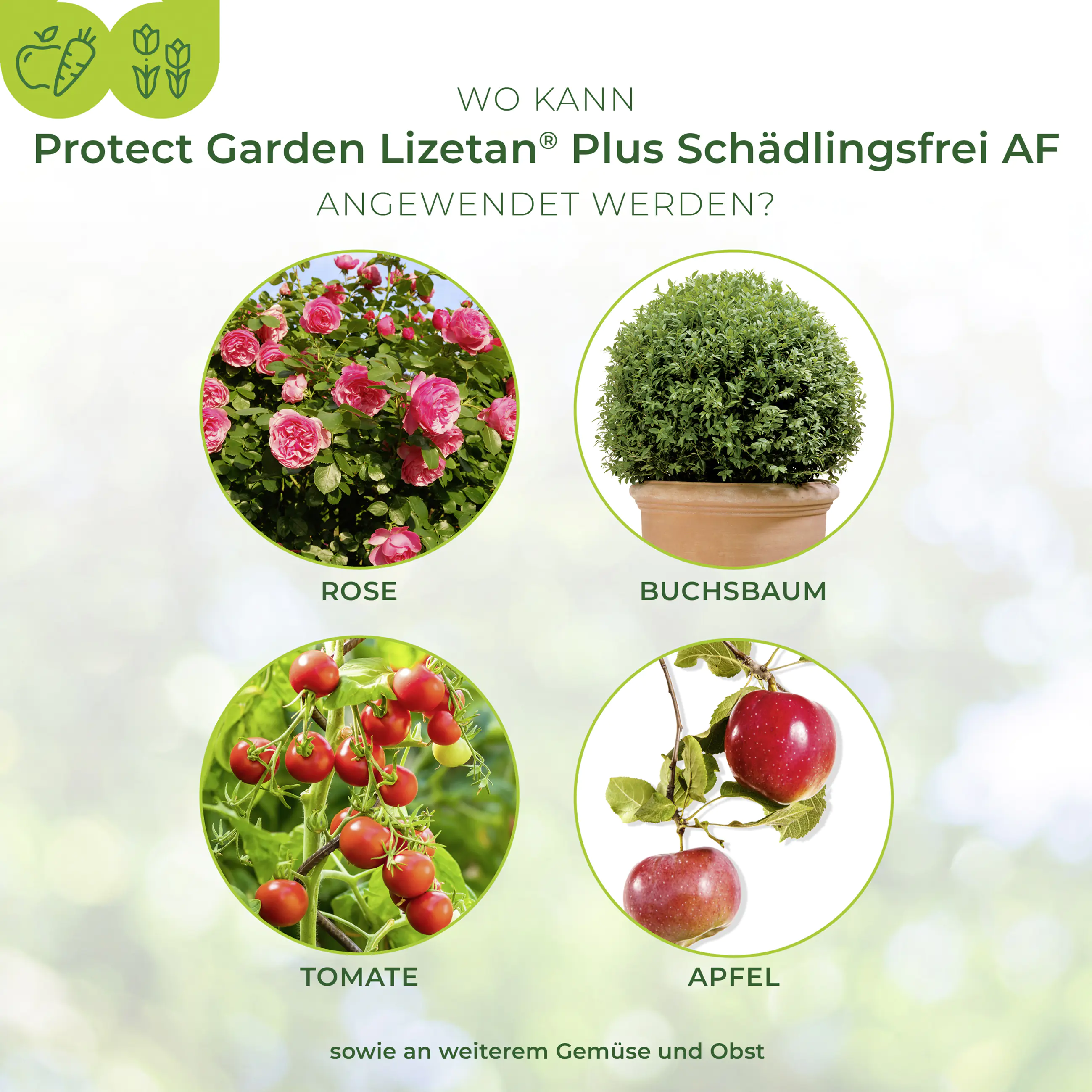 Protect Garden Lizetan Plus Schädlingsfrei AF 3 l Protect Garden Lizetan Plus Schädlingsfrei AF 3 l