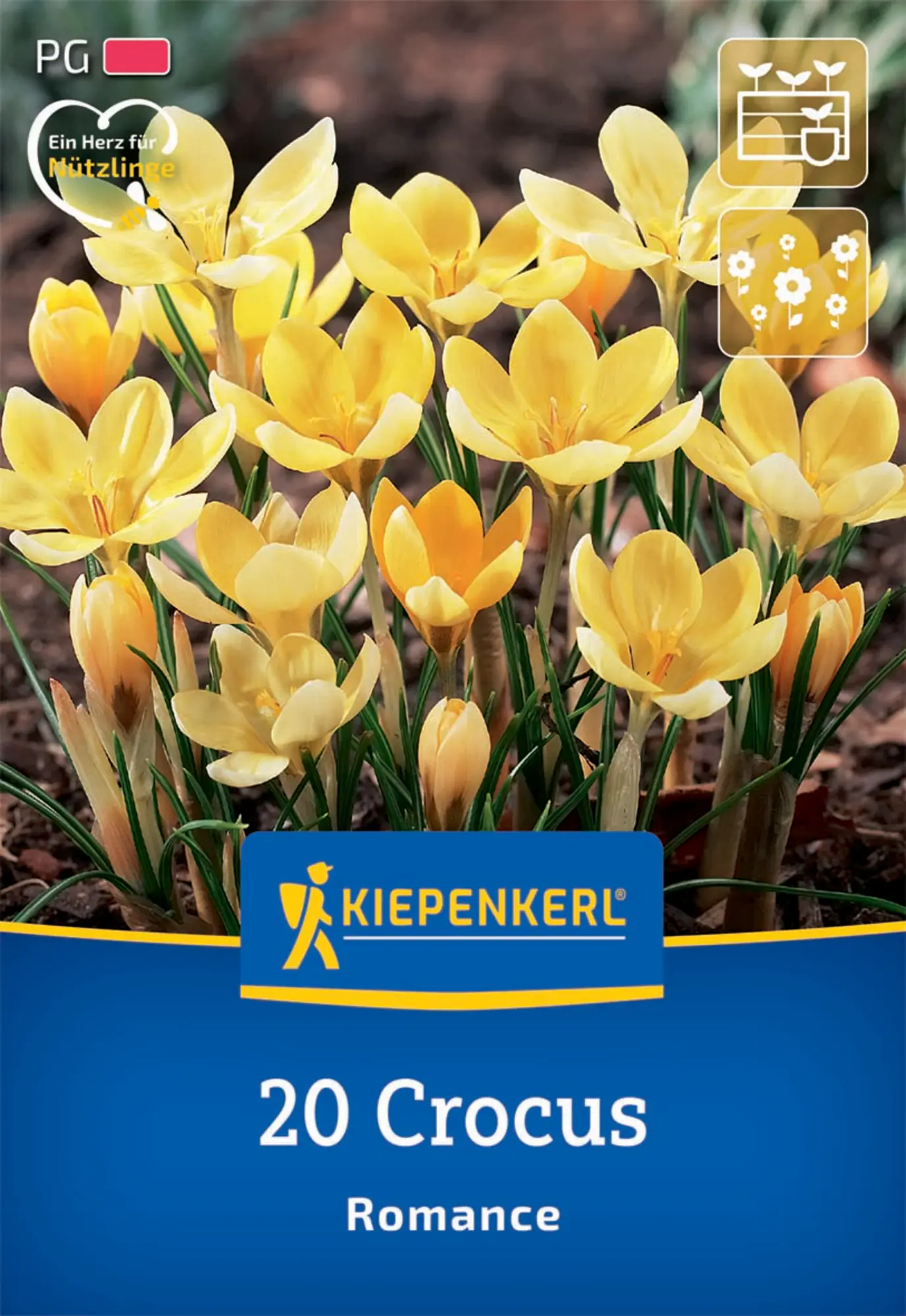 Kiepenkerl Herbstblumenzwiebel Wildkrokus Romance 20 Pflanzen