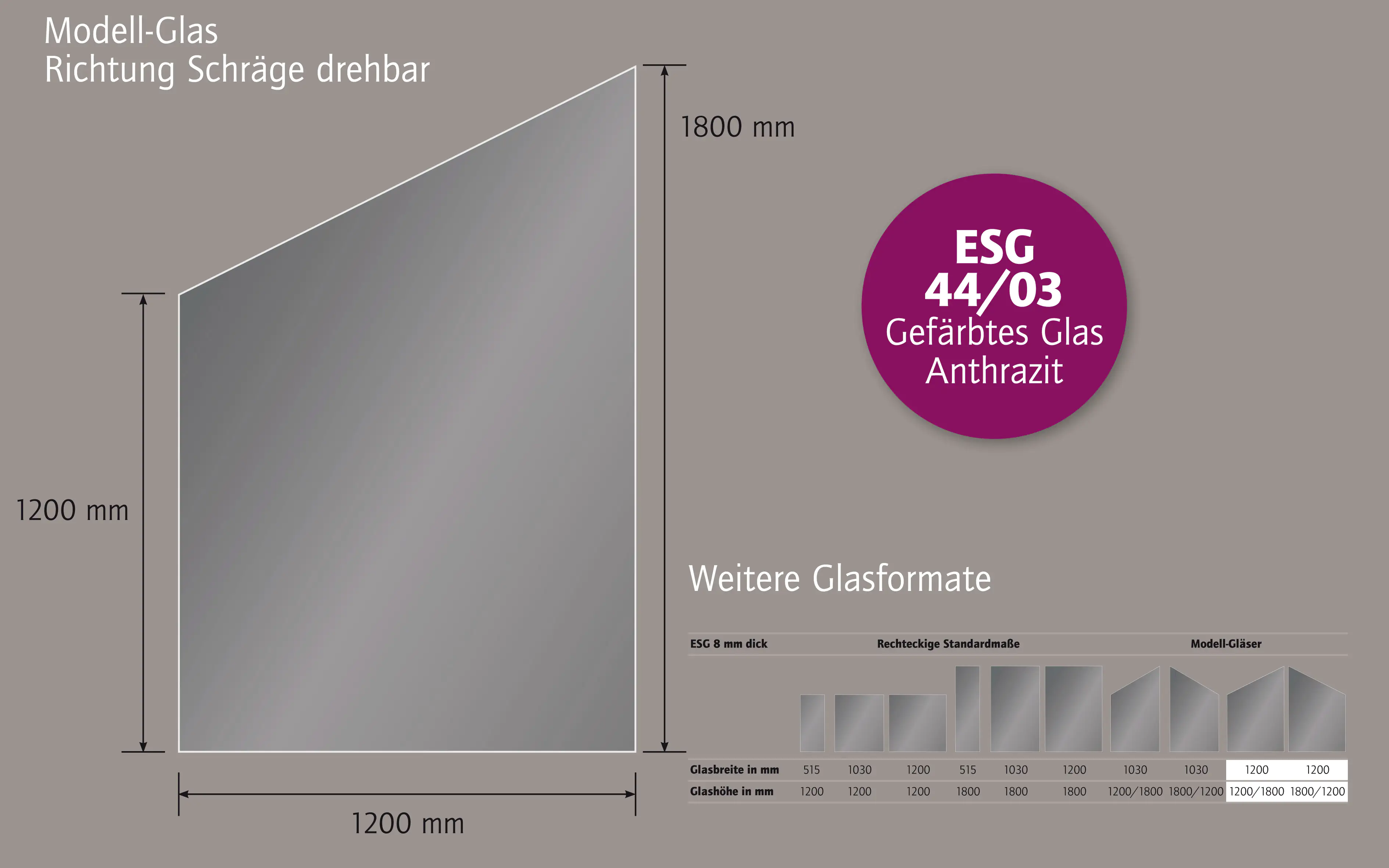 Ambiente Glaszaun Dekor 44/03 schräg 120 x 120/180 cm gehärtetes 8 mm Glas Ambiente Glaszaun Dekor 44/03 schräg 120 x 120/180 cm gehärtetes 8 mm Glas