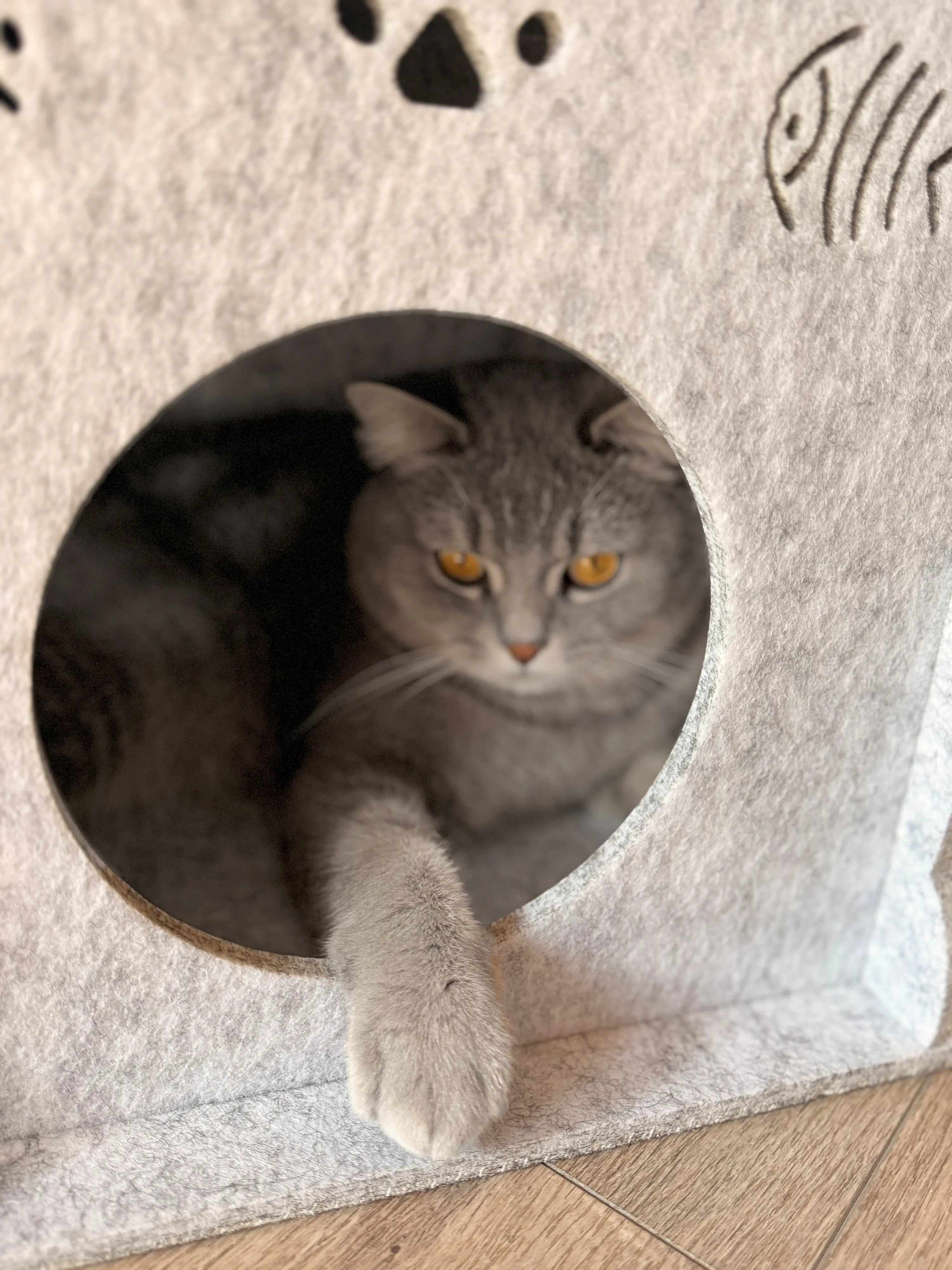Aumüller Katzenhaus Purr Tower 40 x 40 cm hellgrau