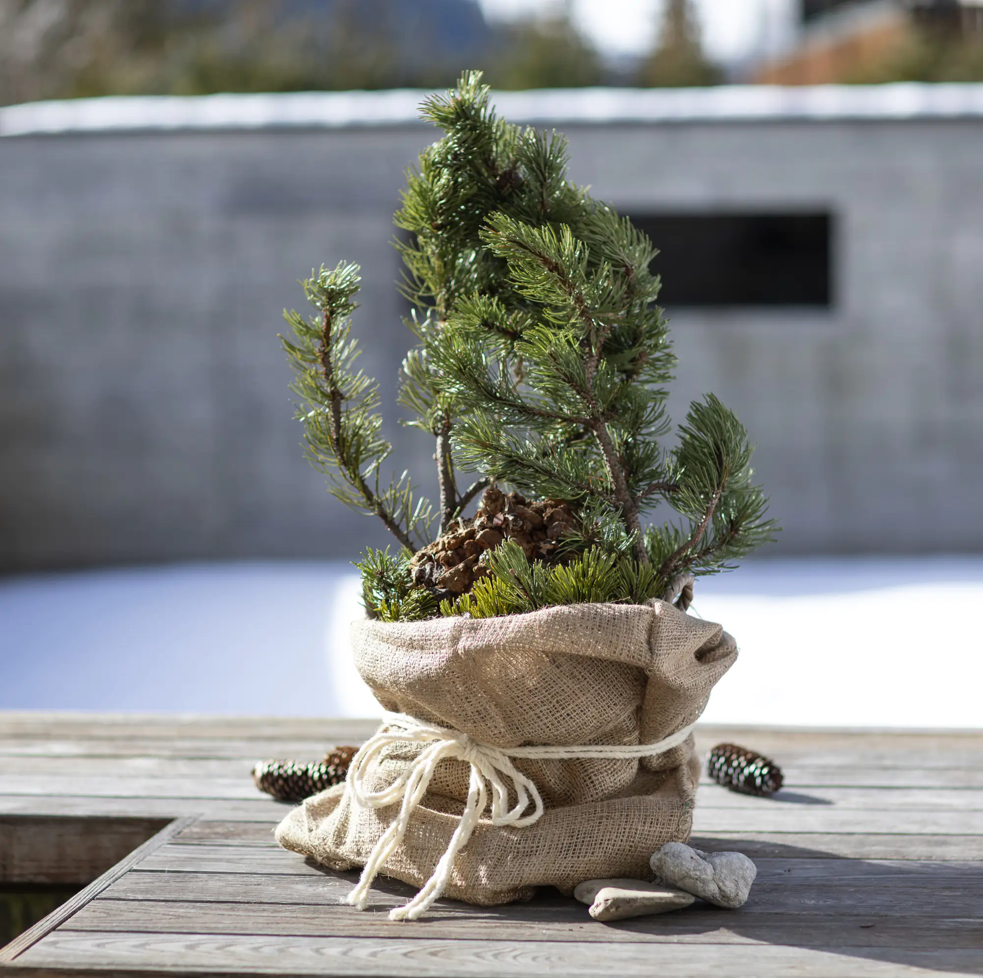 9003117063860_1 Windhager Jute-Sack 80 x 60 cm, natur