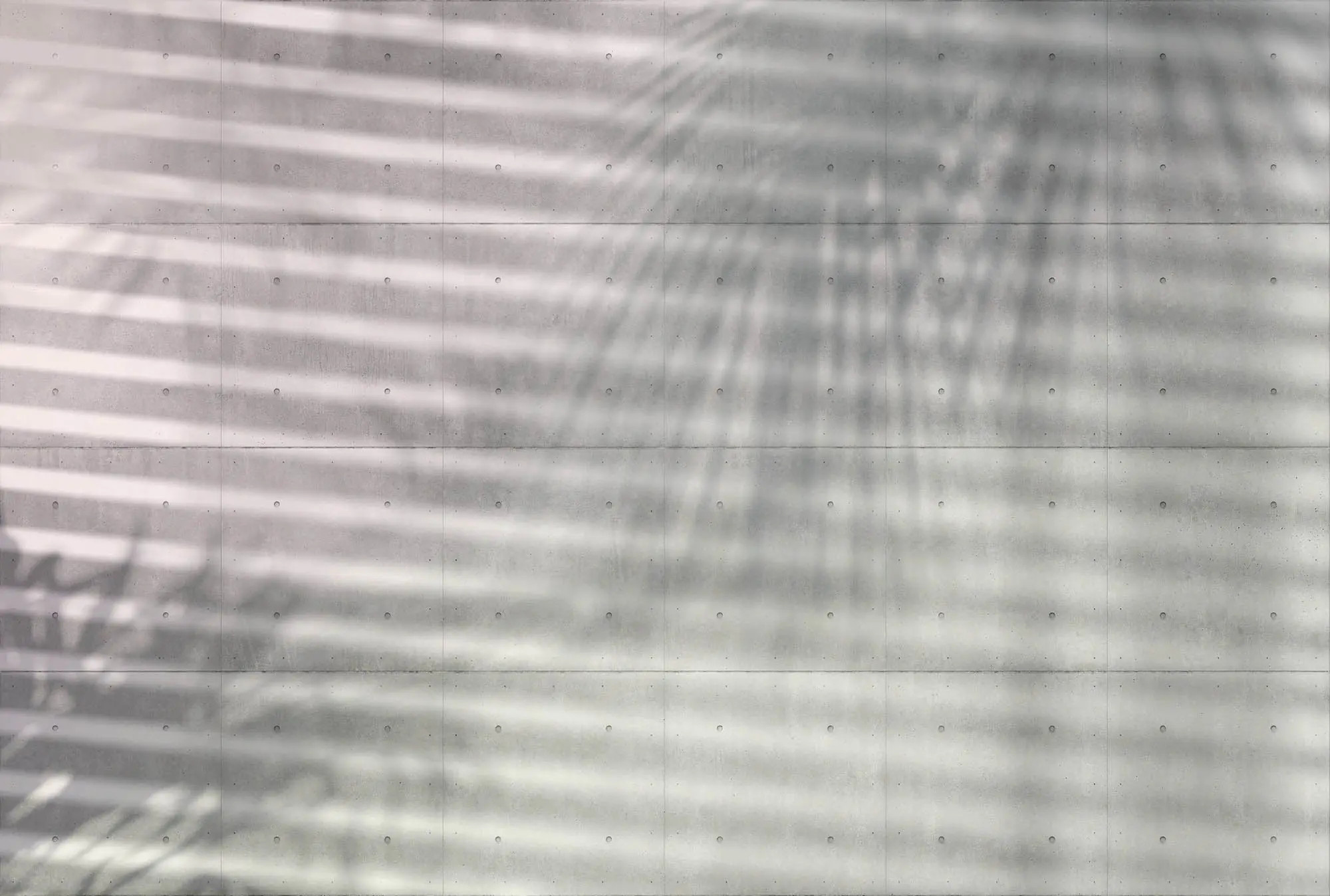 Komar Vlies Fototapete Shadow 368 x 248 cm 