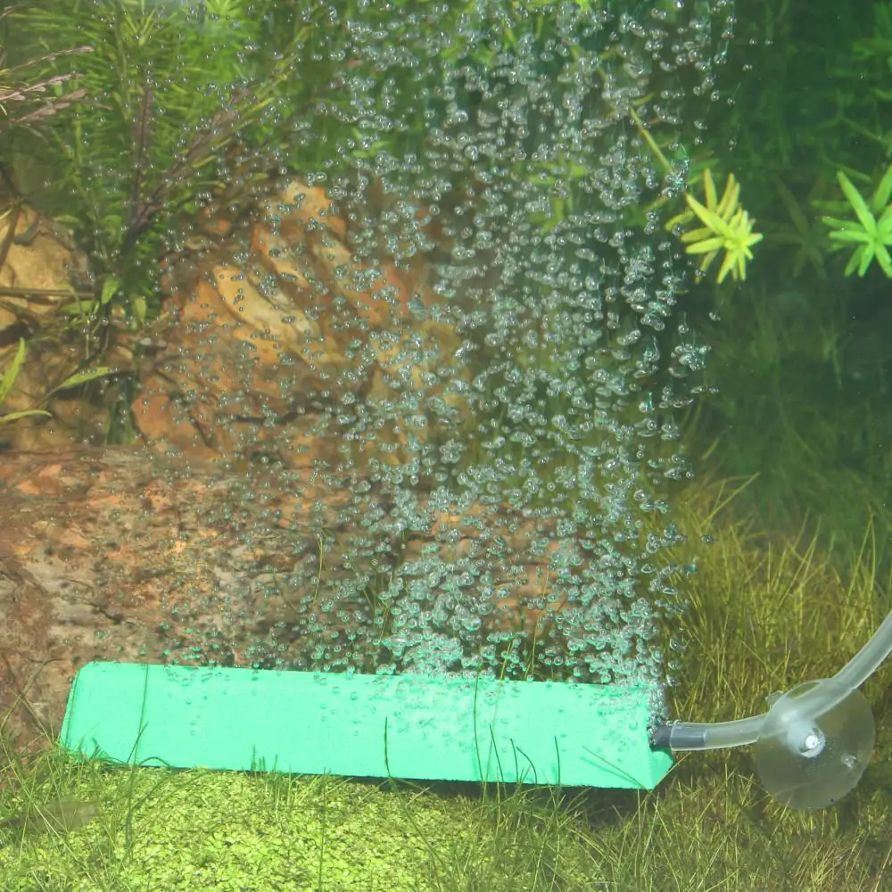 JBL ProSilent Aeras Micro Ausströmerstein für feine Luftblasen