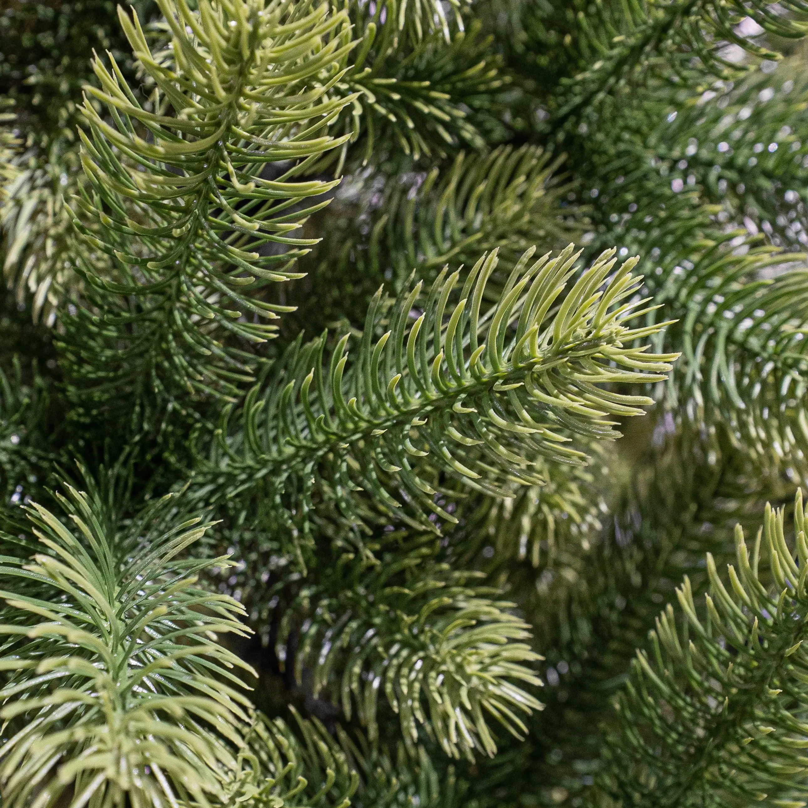 Black Box Trees Weihnachtsbaum Nagoya grün 180 cm