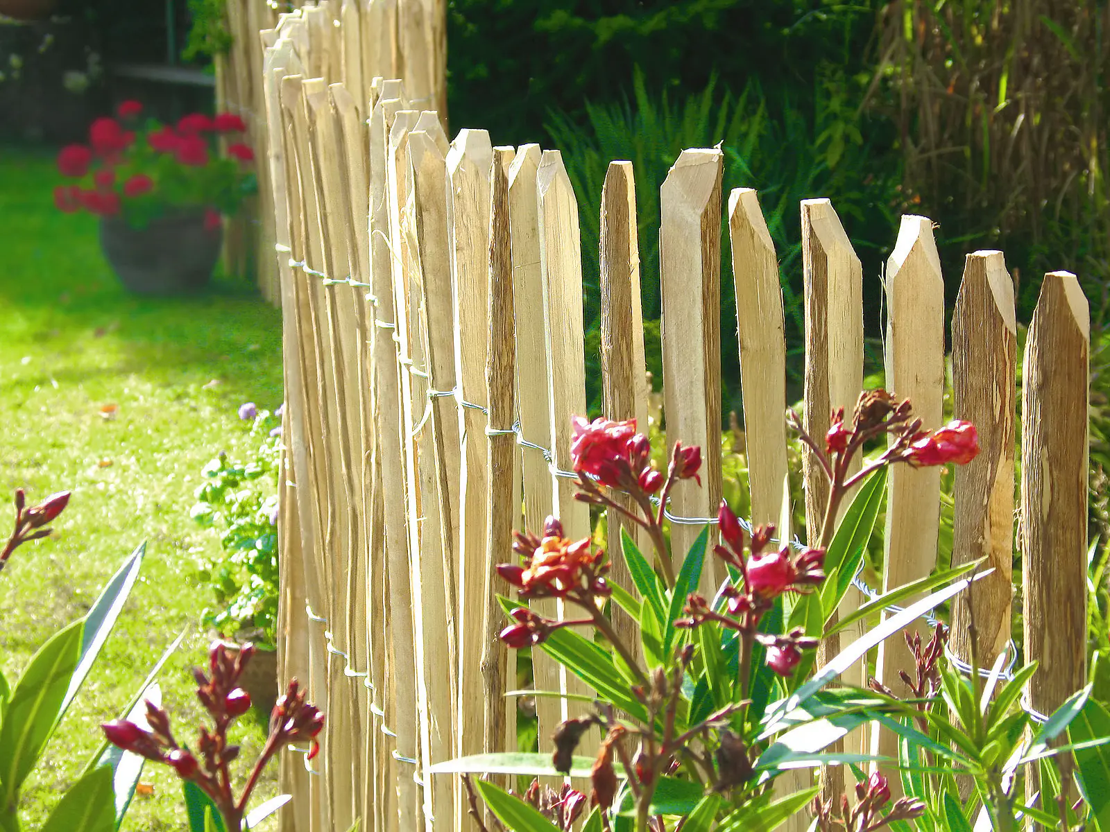 Floraworld Rollzaun Staketen 5 x 1,2 m natur