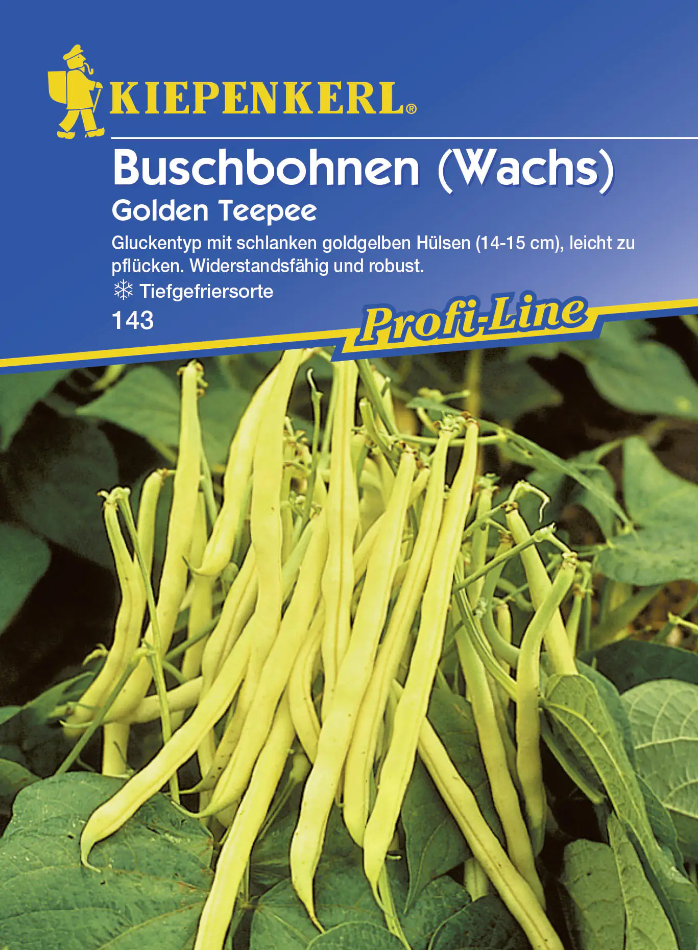 Kiepenkerl Buschbohne Golden Teepee Phaseolus vulgaris var. nanus, Inhalt: ca. 8-10 lfd. Meter