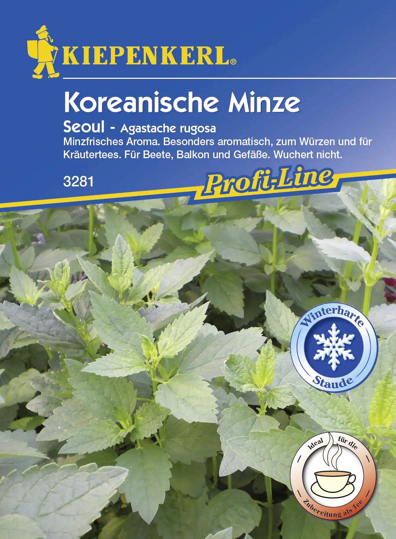 4000159182813 Kiepenkerl Koreanische Minze Seoul - 10 Töpfe