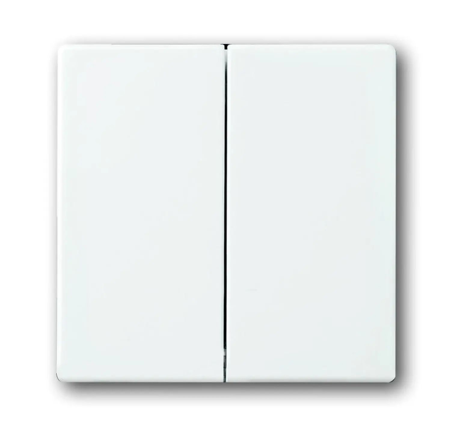 Busch Jaeger Serien-Wippe 2-fach für Schalter/Taster Future Linear studioweiß 1785-84