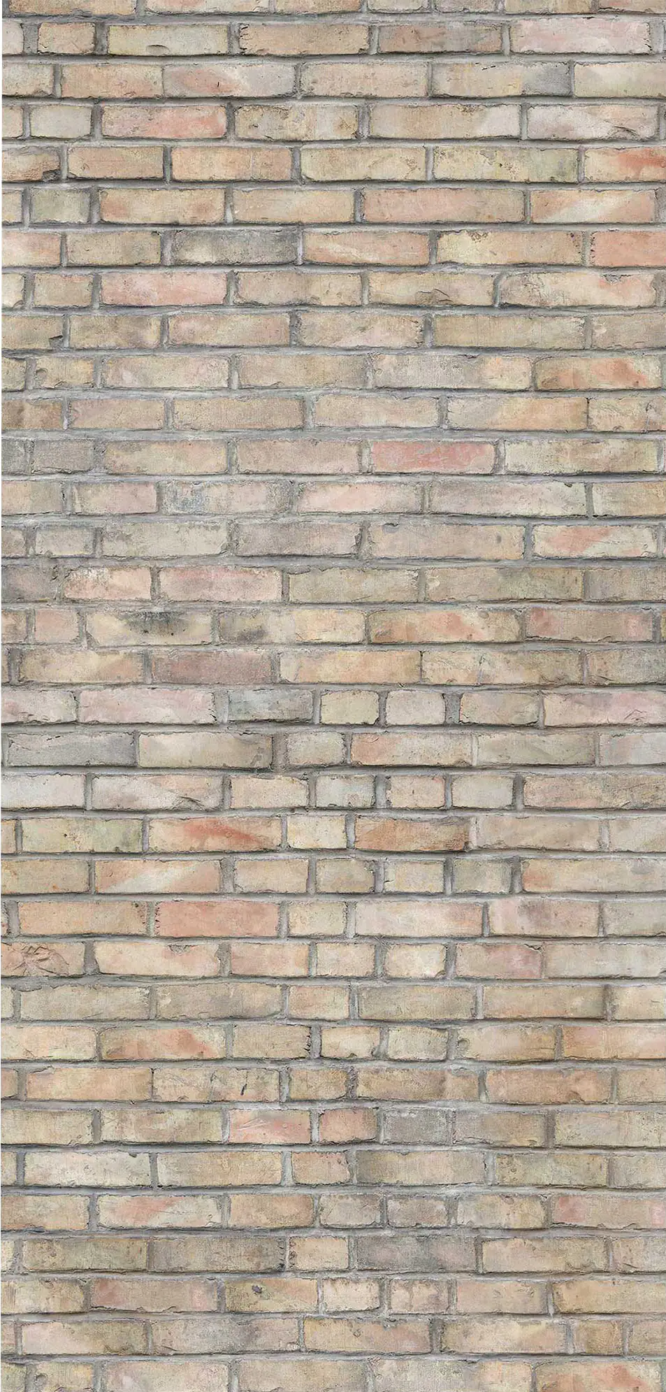 Breuer Duschrückwand Mauer-Optik Vintage Dekor 100 x 210 x 0,3 cm