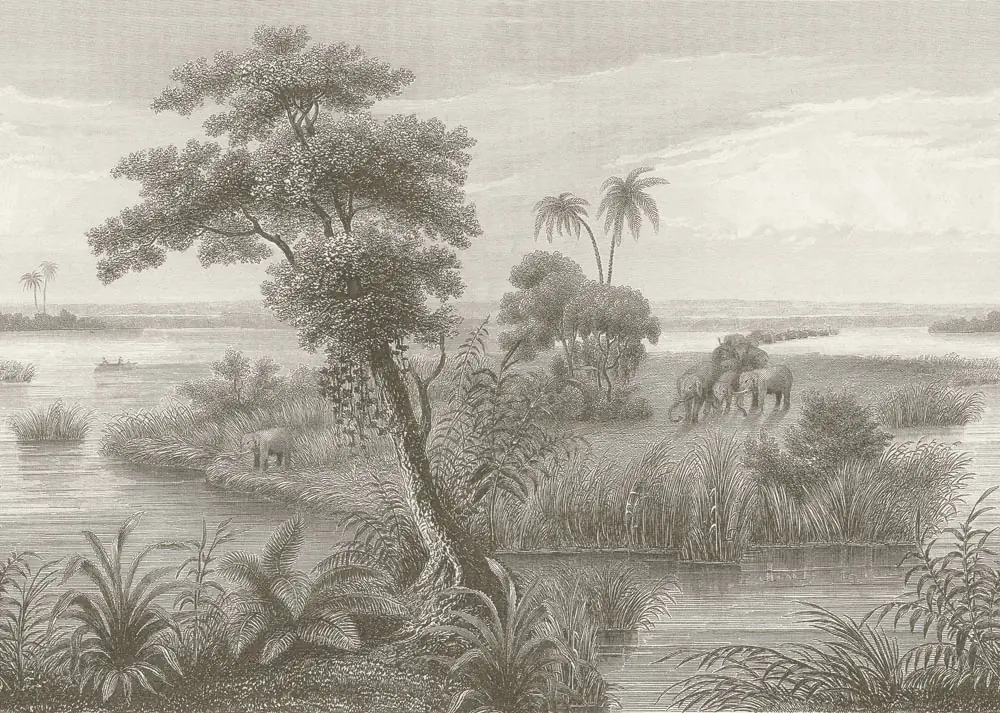 Rasch Vlies Fototapete 556162 Braun-Hellbraun Muster & Motive 2,65 m x 3,71 m