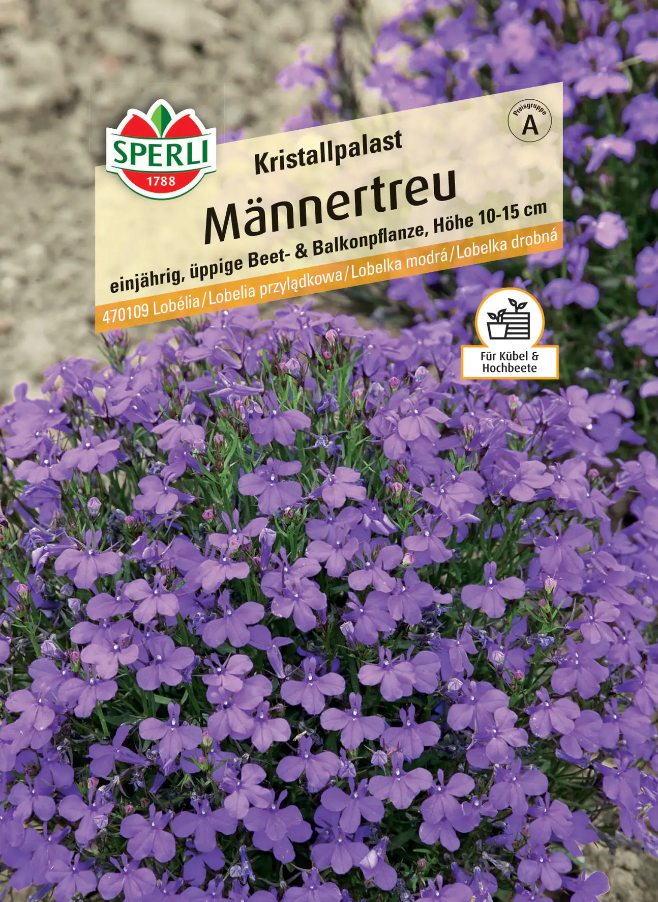 Sperli Männertreu Kristallpalast