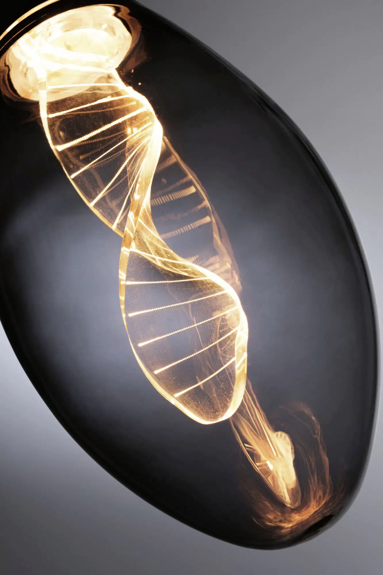 Paulmann LED Leuchtmittel Inner Glow Helix E27 3,5W rauch Paulmann LED Leuchtmittel Inner Glow Helix E27 3,5W rauch