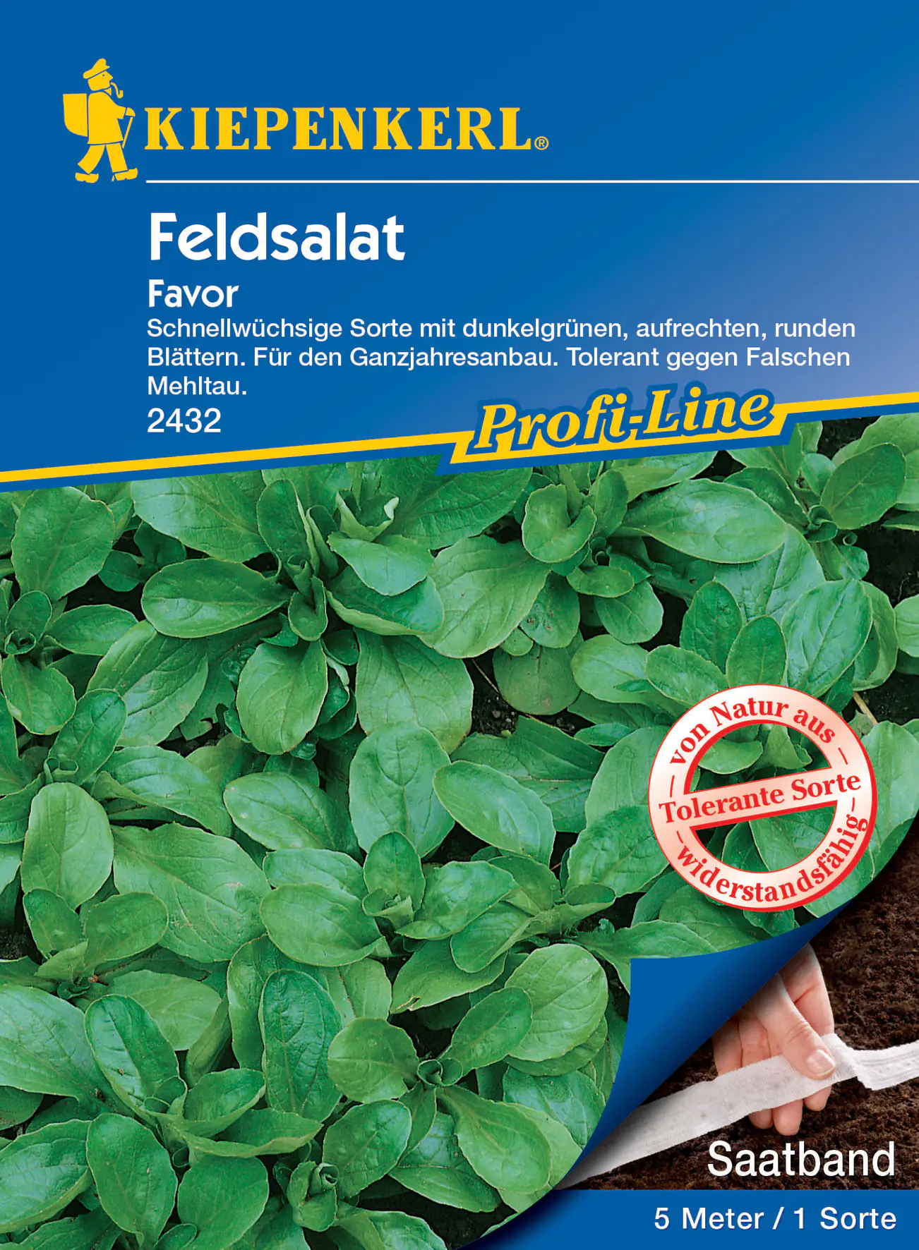 Kiepenkerl Feldsalat Favor, Saatband Kiepenkerl Feldsalat Favor, Saatband