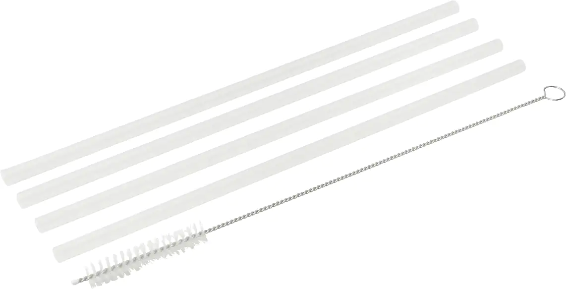 Fackelmann Trinkhalme mit Bürste Eco Kunststoff 5-teilig