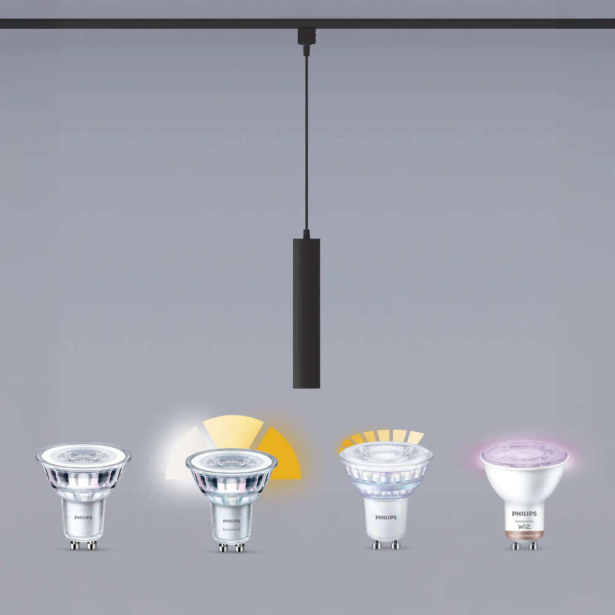 Philips Pendelleuchte 1er Pendel Paxie Easy Link schwarz Philips Pendelleuchte 1er Pendel Paxie Easy Link schwarz