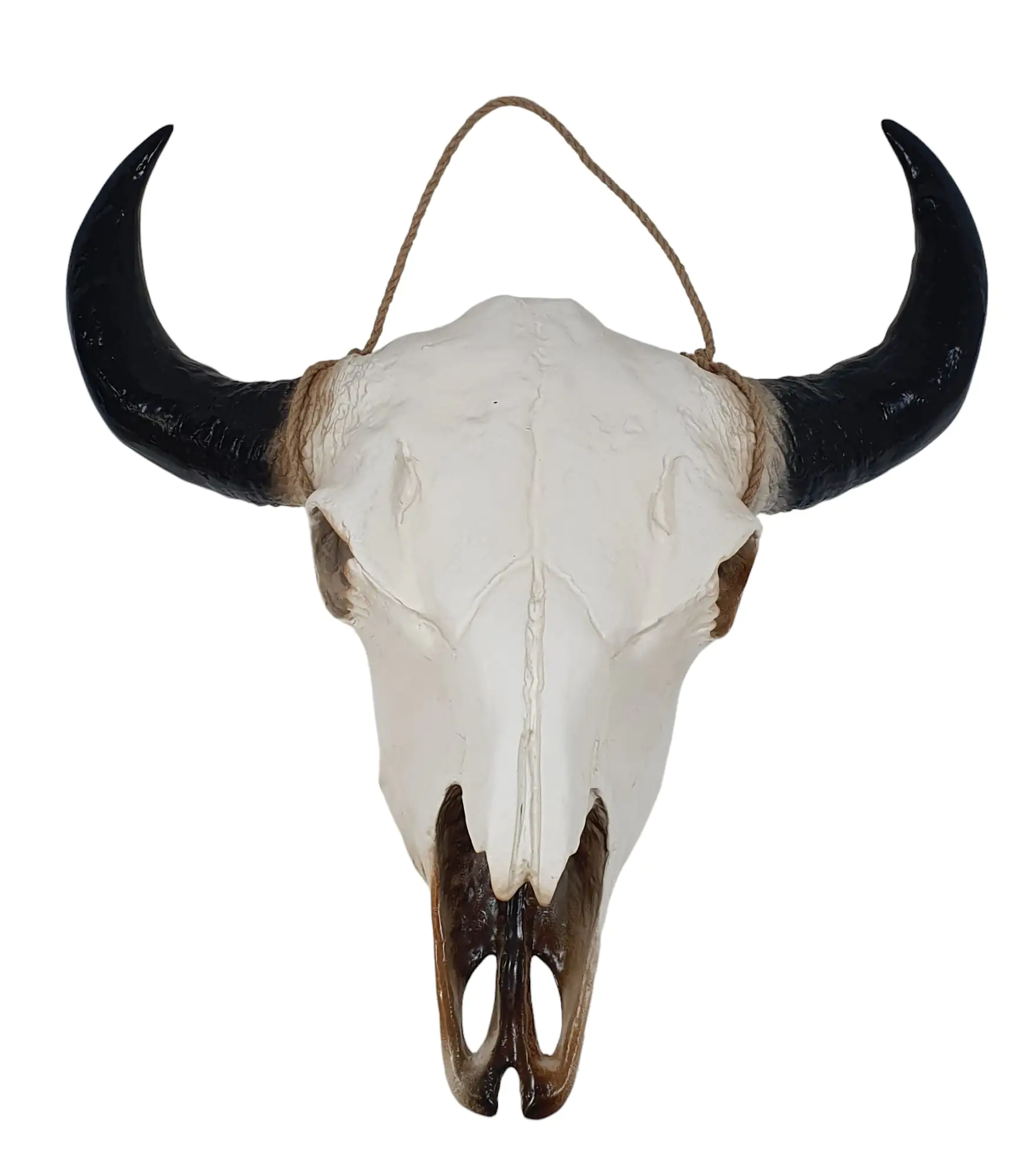 Büffelschädel mit Kordel natur