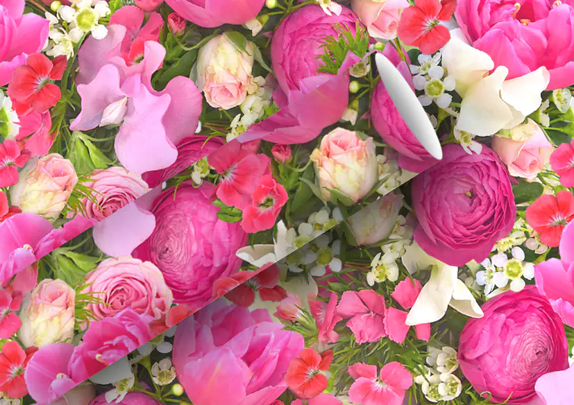 4014995375414 Braun & Company Geschenkpapier Kollektion Rosemarie 2 m x 70 cm