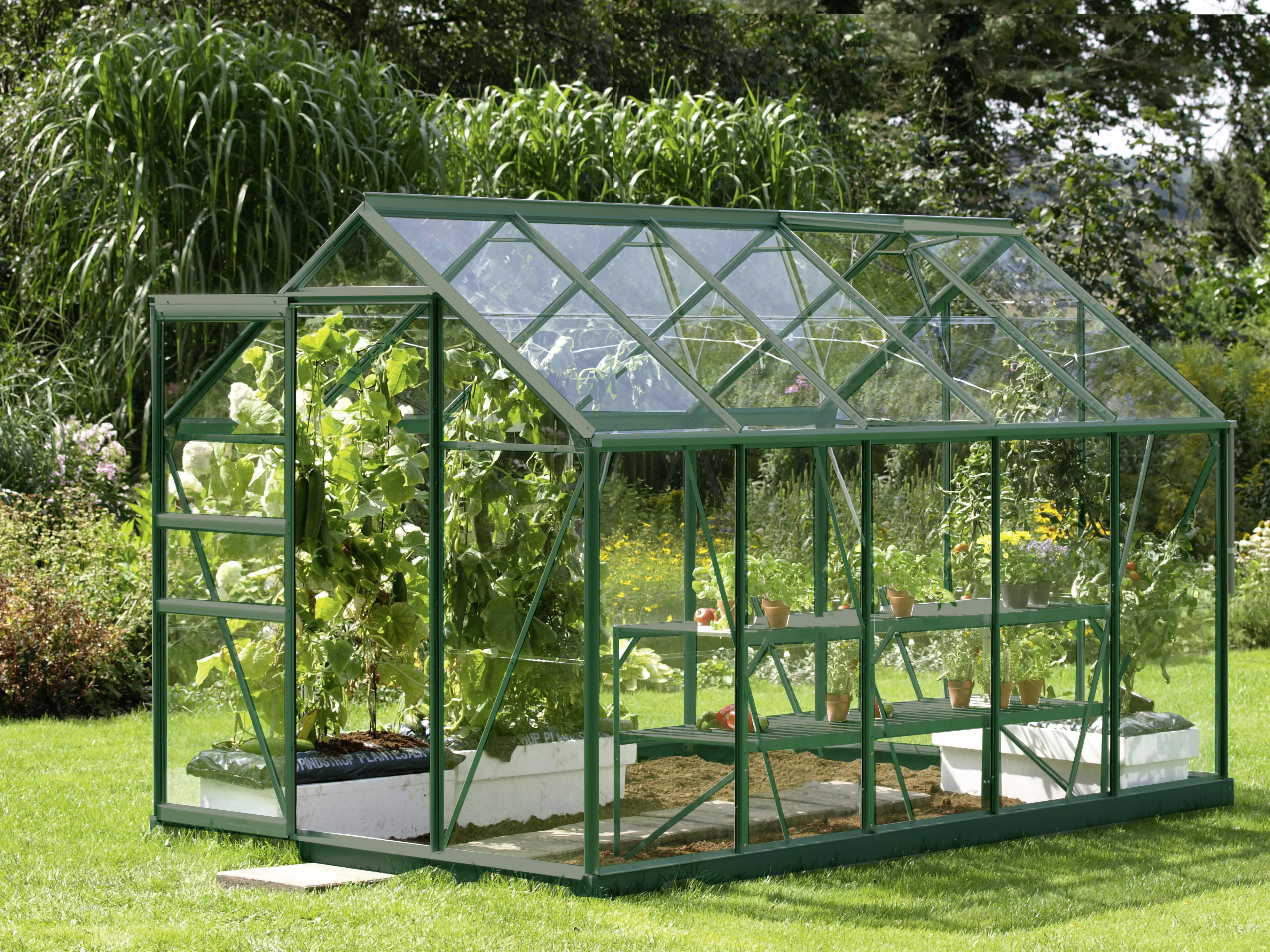 Vitavia Gewächshaus Venus 6200 192 x 317 cm 3 mm Sicherheitsglas Vitavia Gewächshaus Venus 6200 192 x 317 cm 3 mm Sicherheitsglas