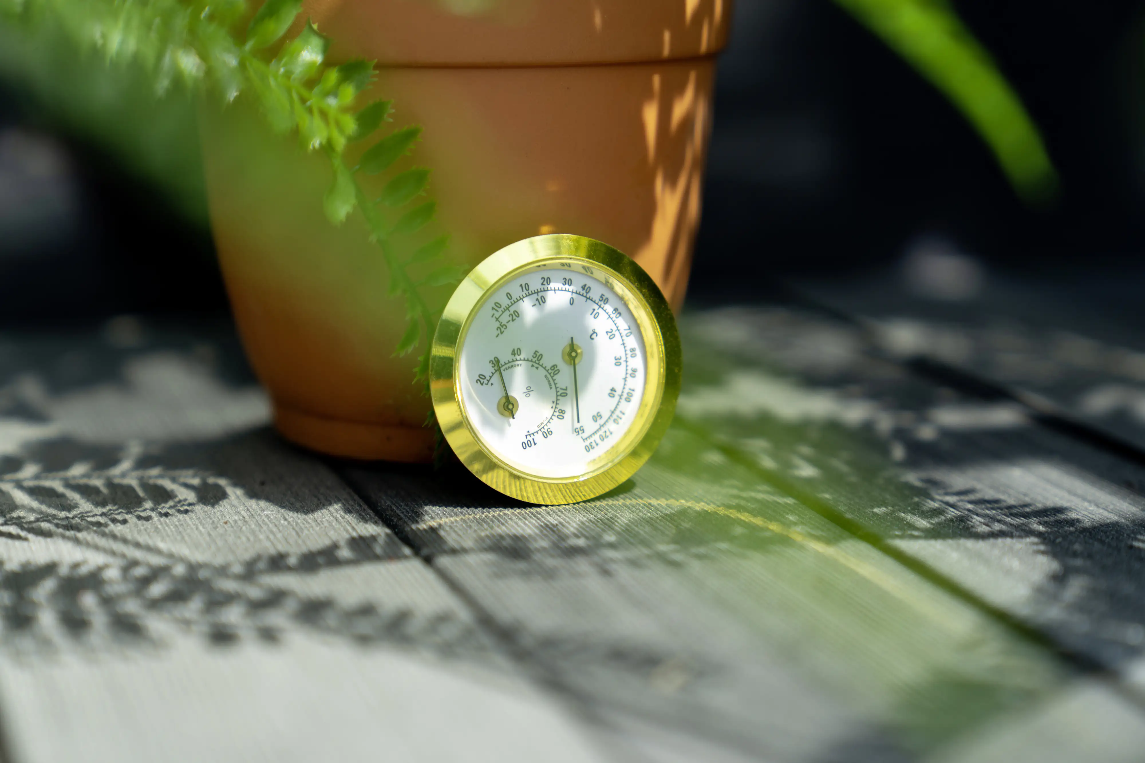 Vitavia Hygrometer Vitavia Hygrometer