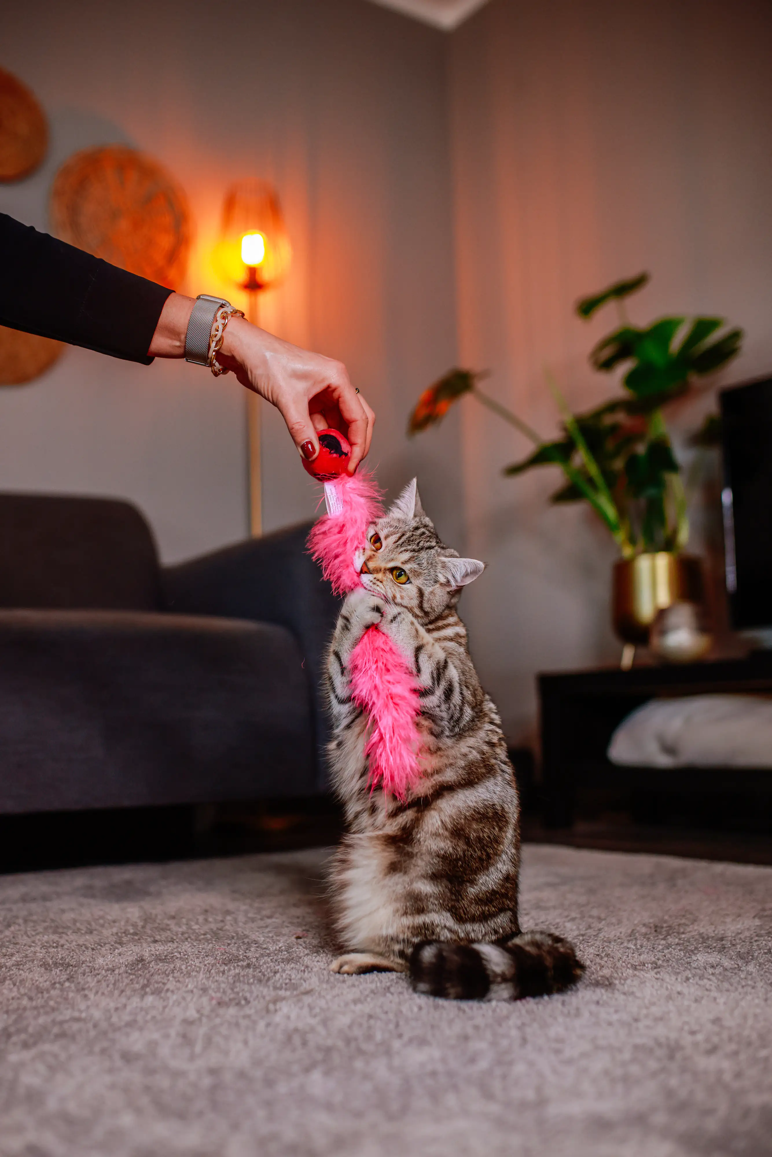 Nobby Ball mit Feder 24 cm