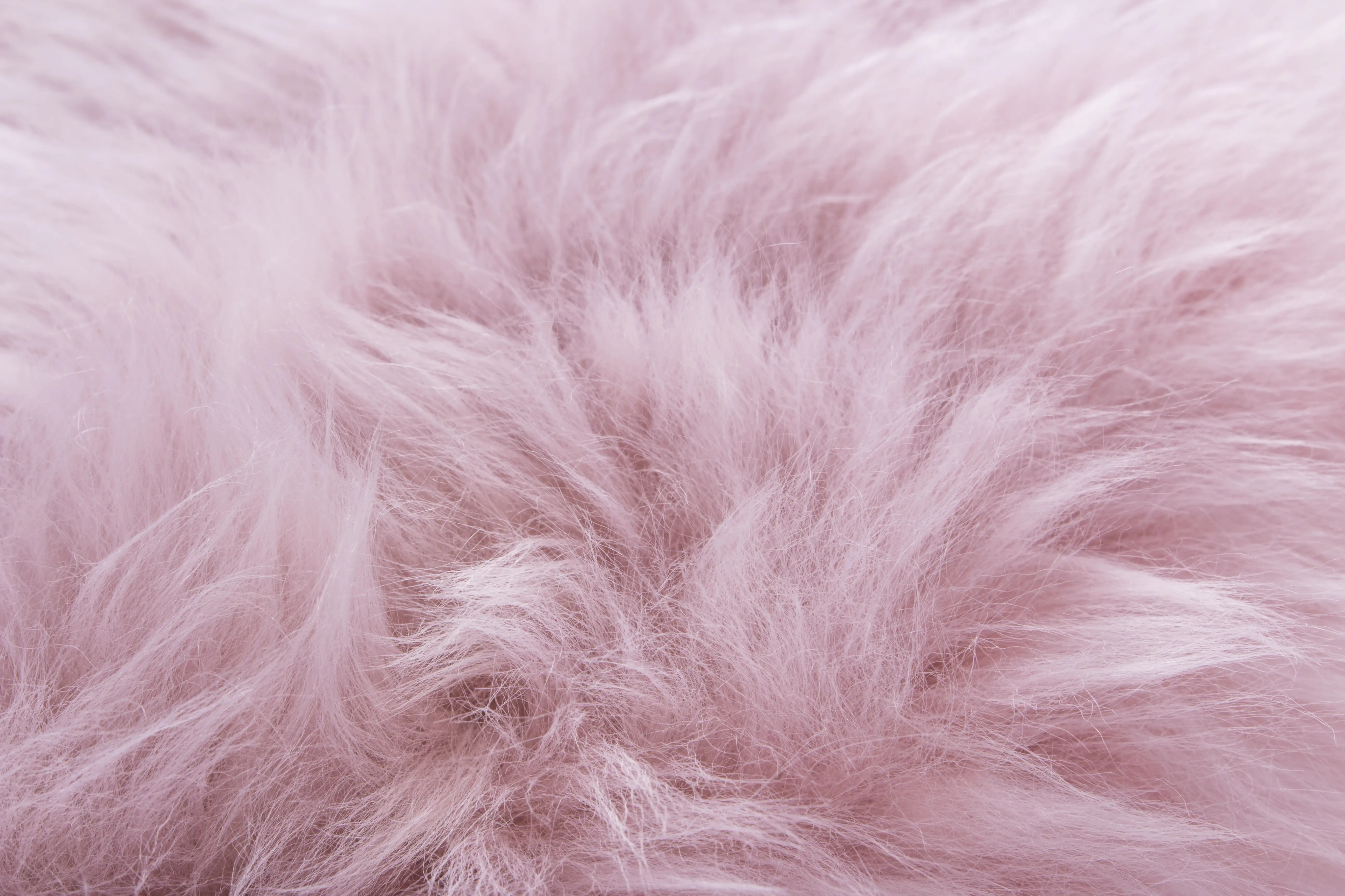 4002398256256_1 Schaffell natur altrosa, ca 60 x 85 cm