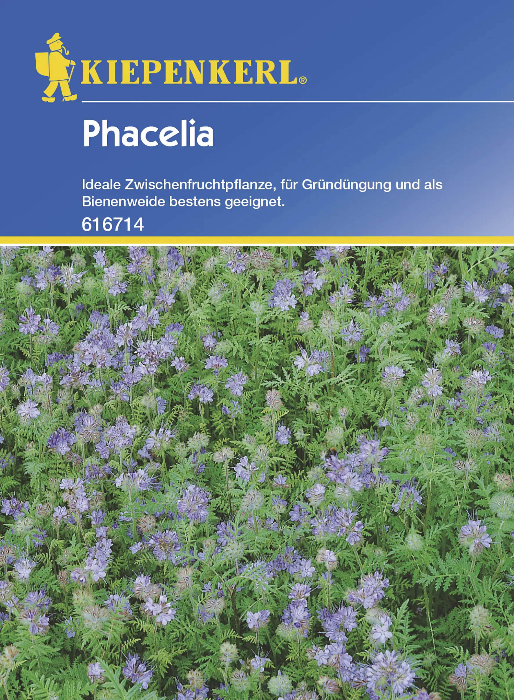 Kiepenkerl Phacelia 50 Gr Inhalt: 50 g