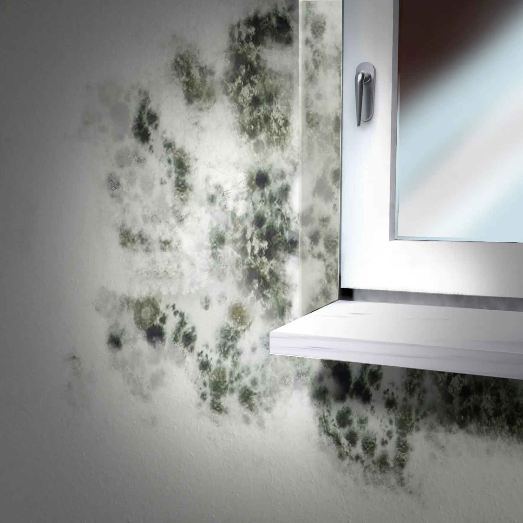 MEM Salpeter-Entferner 1 l MEM Salpeter-Entferner 1 l