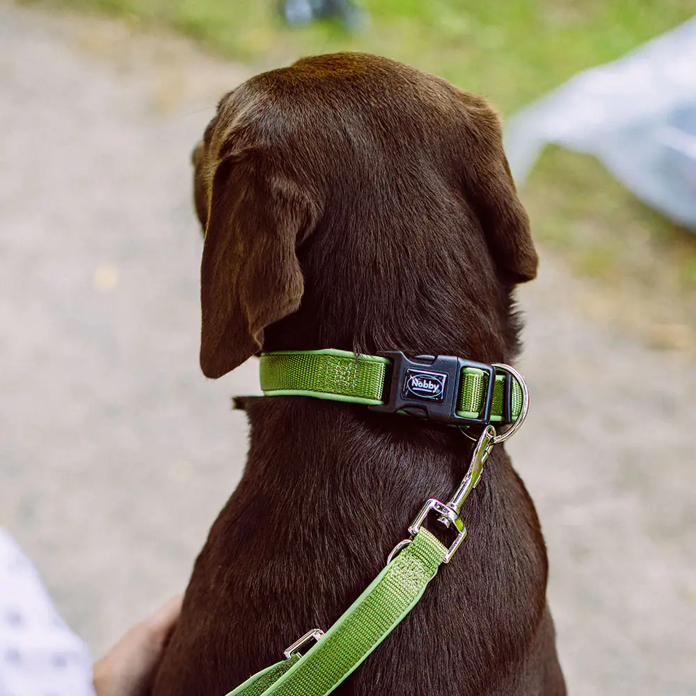 Nobby Halsband Classic Preno waldgrün Nobby Halsband Classic Preno waldgrün