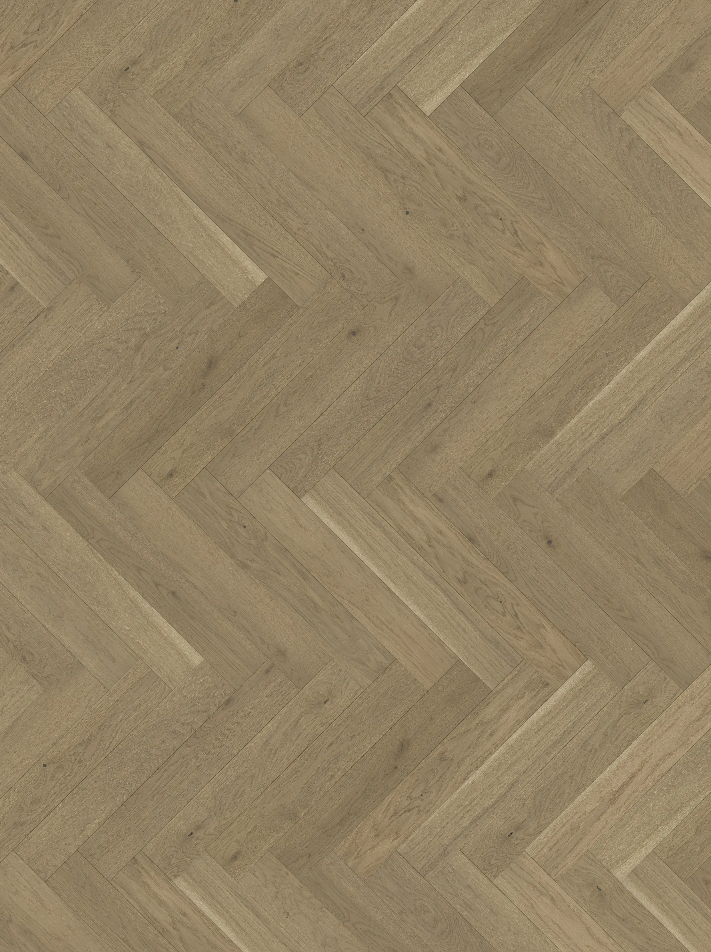 Parador Parkett Trendtime Eiche nougat matt