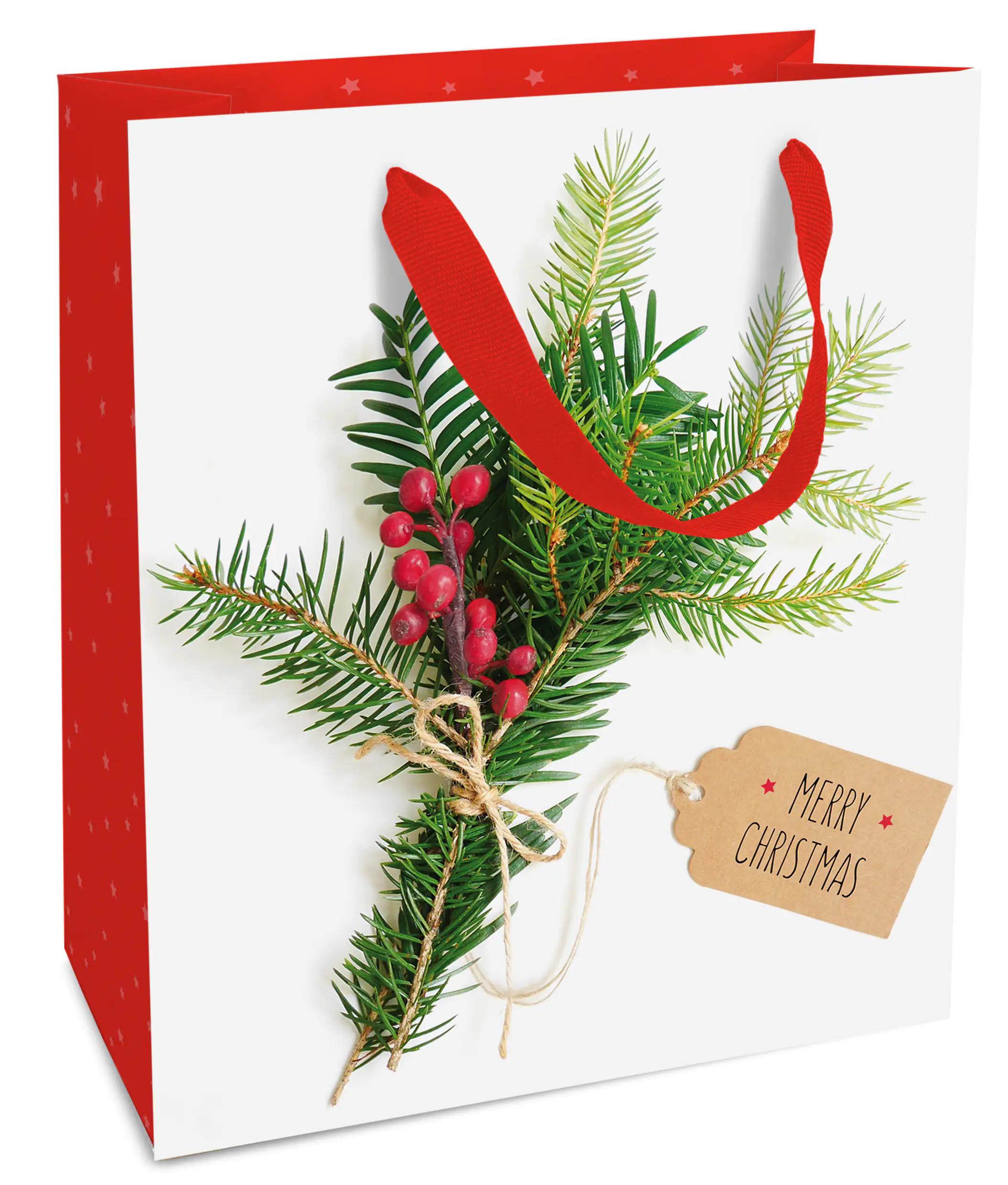 4014995286291 Braun & Company Geschenktragetasche Weihnachtsgruß 18 x 21 x 8 cm