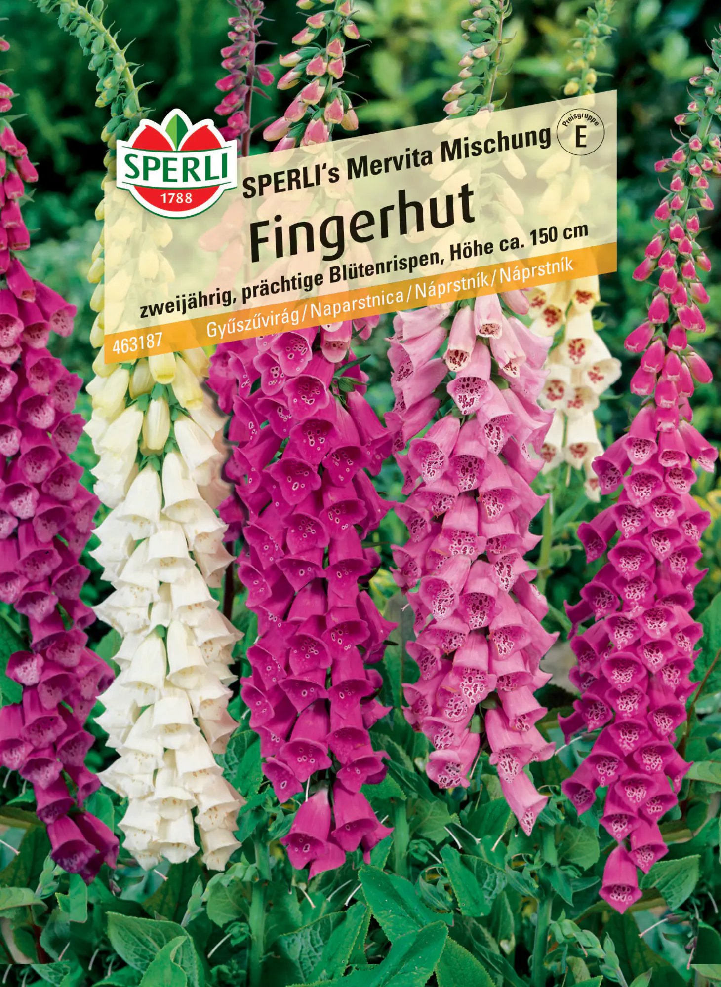 Sperli Fingerhut SPERLI's Mervita Mischung
