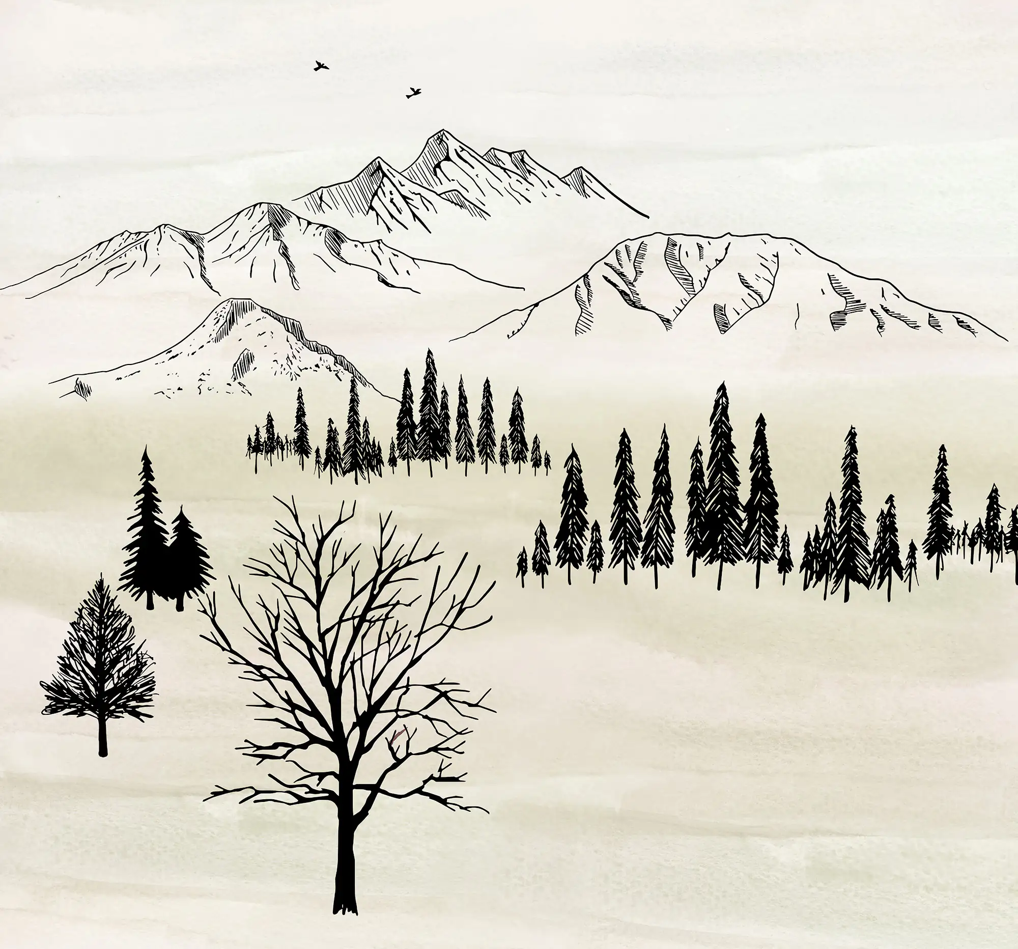 Komar Vlies Fototapete Backcountry 300 x 280 cm 