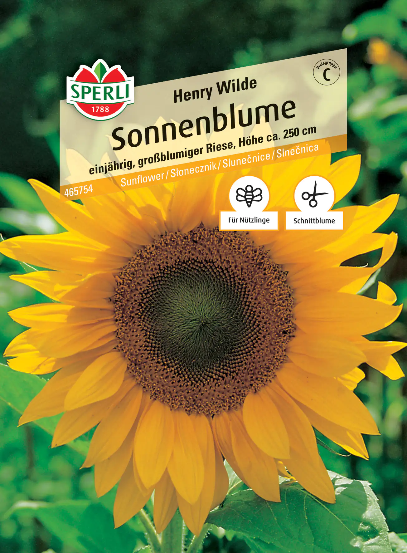 Sperli Sonnenblume Henry Wilde