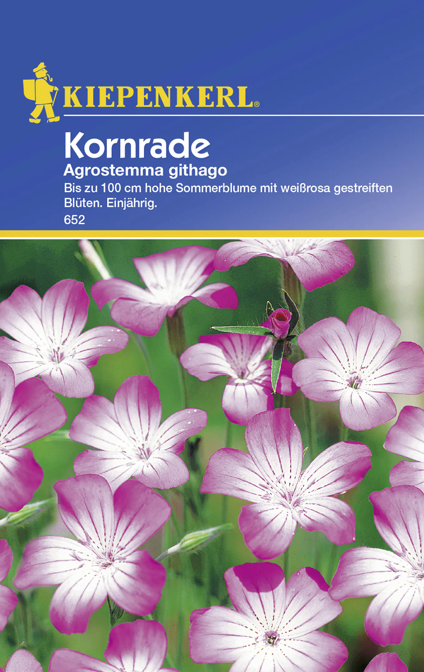 Kiepenkerl Kornrade Agrostemma githago, Inhalt: ca. 50 Pflanzen