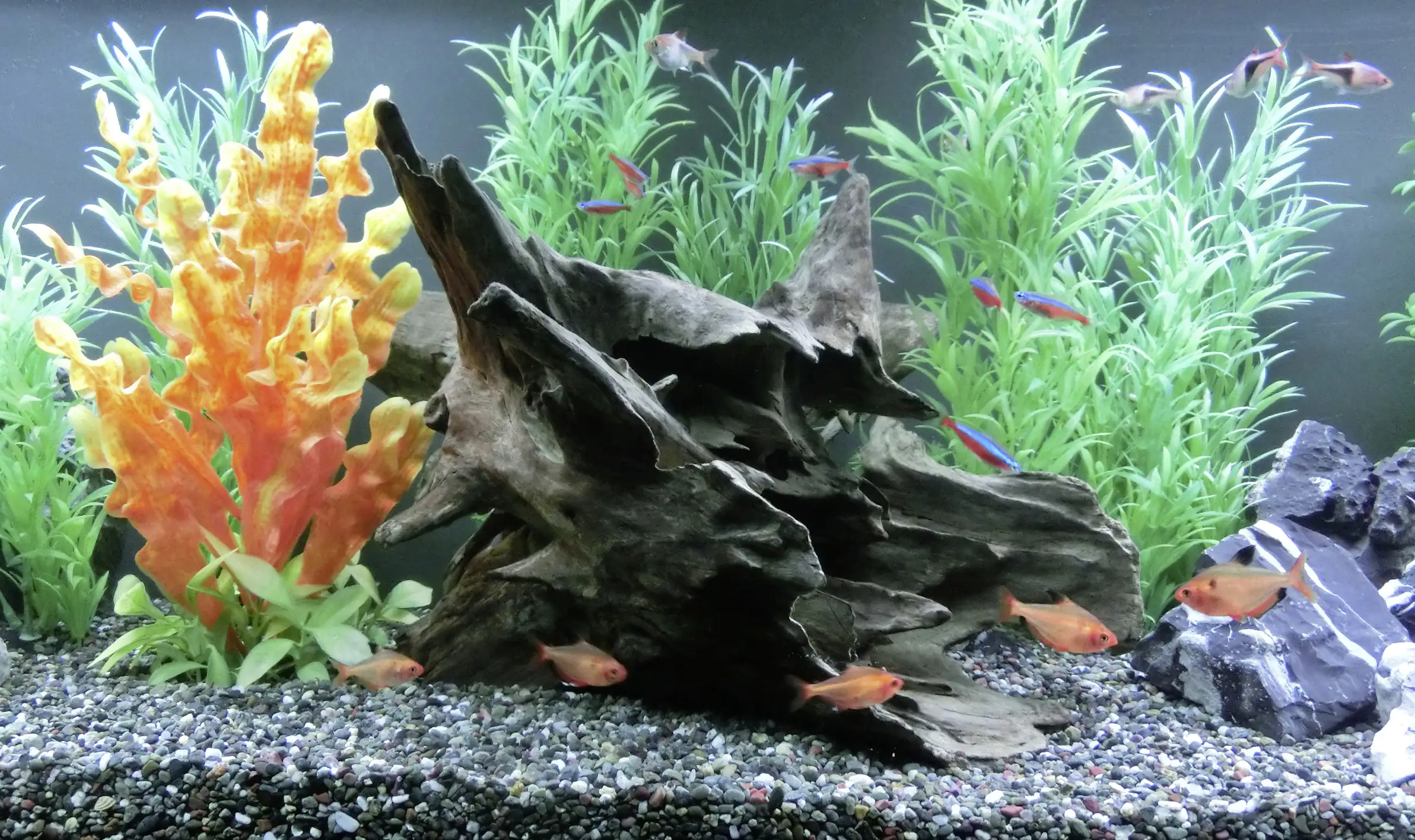 Orbit Corbo-Wurzel M 20 x 30 x 40 cm