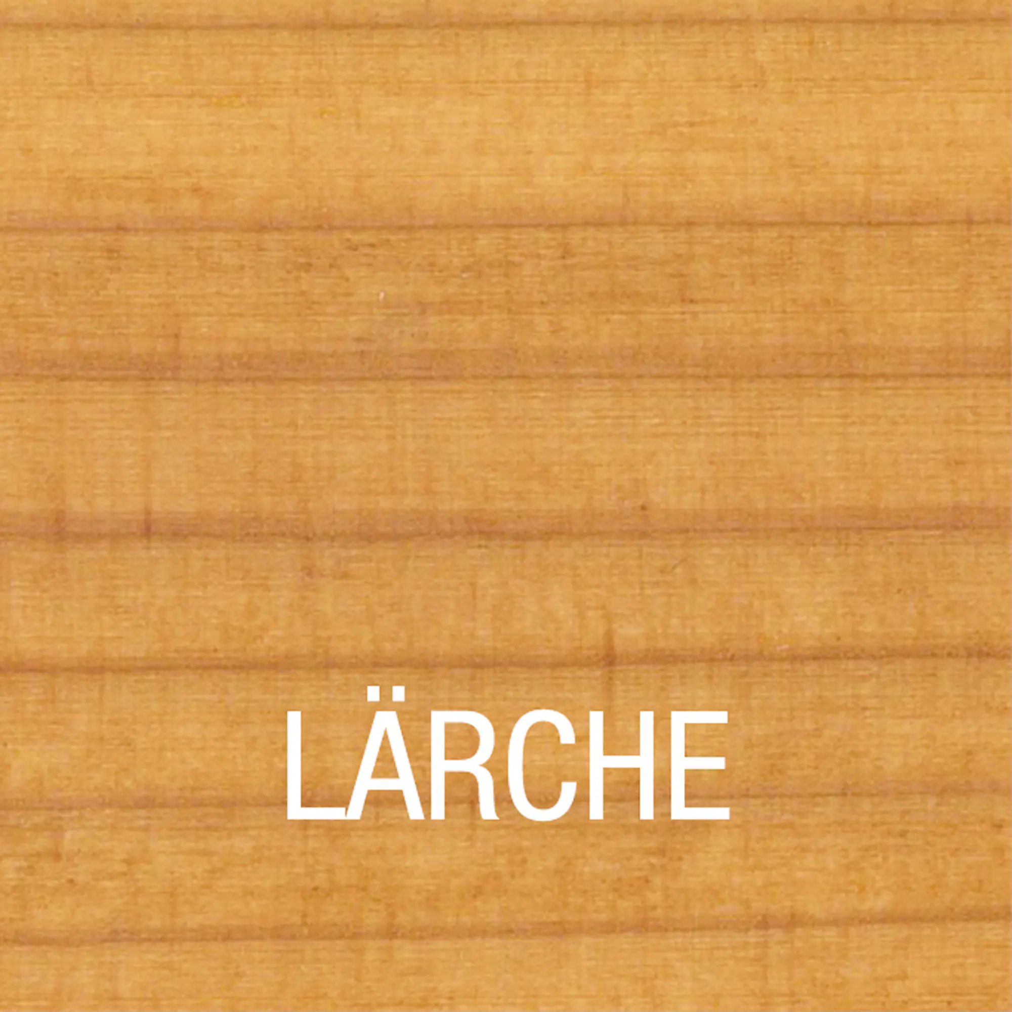 Bondex Lärchen Öl 4 L