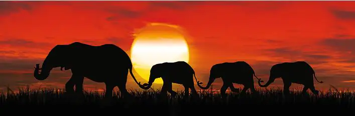 Deco-Panel Bild - Sunset Elefants 90 x 29 cm