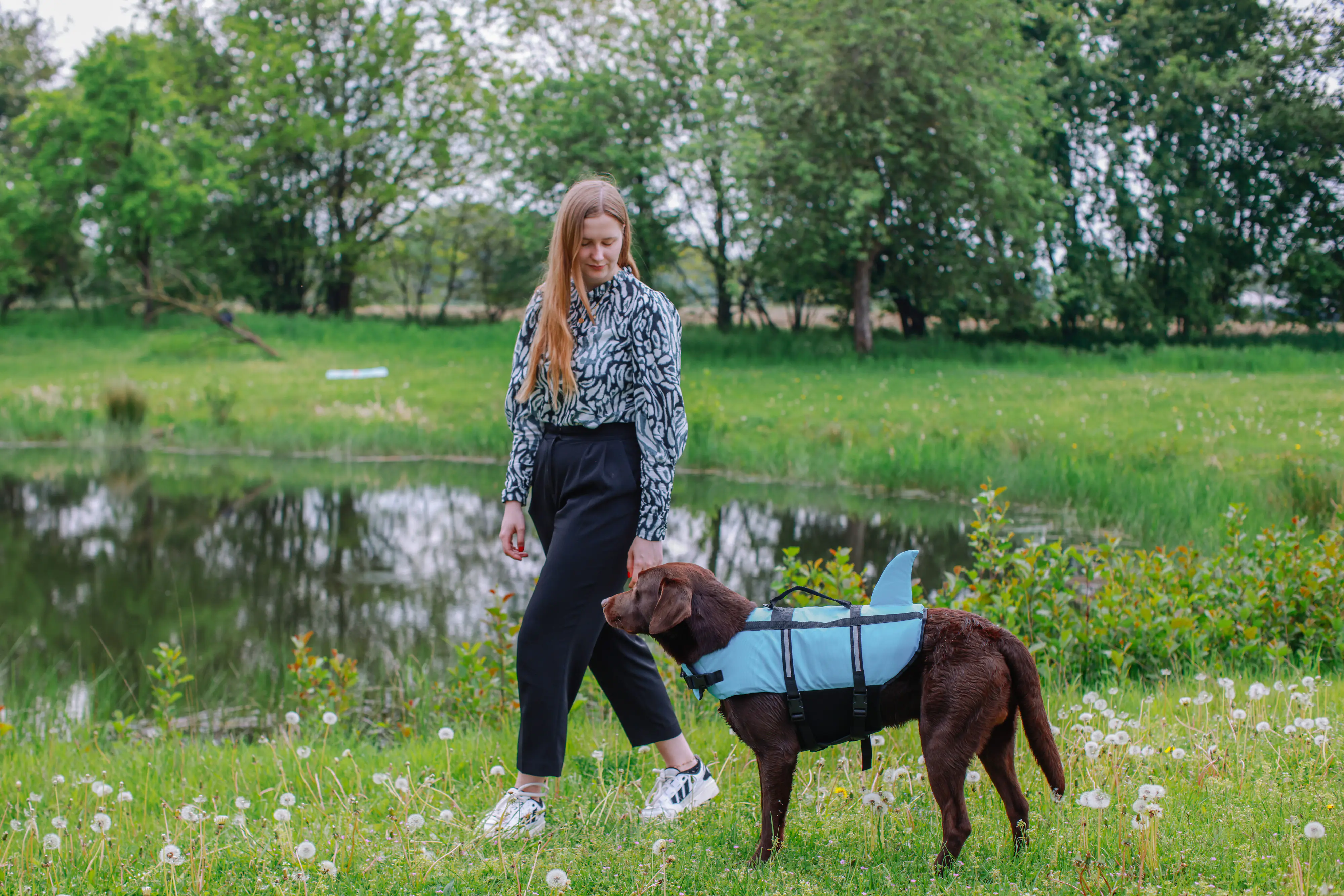 Nobby Hunde Schwimmweste Sharki mit Haiflosse hellblau Nobby Hunde Schwimmweste Sharki mit Haiflosse hellblau