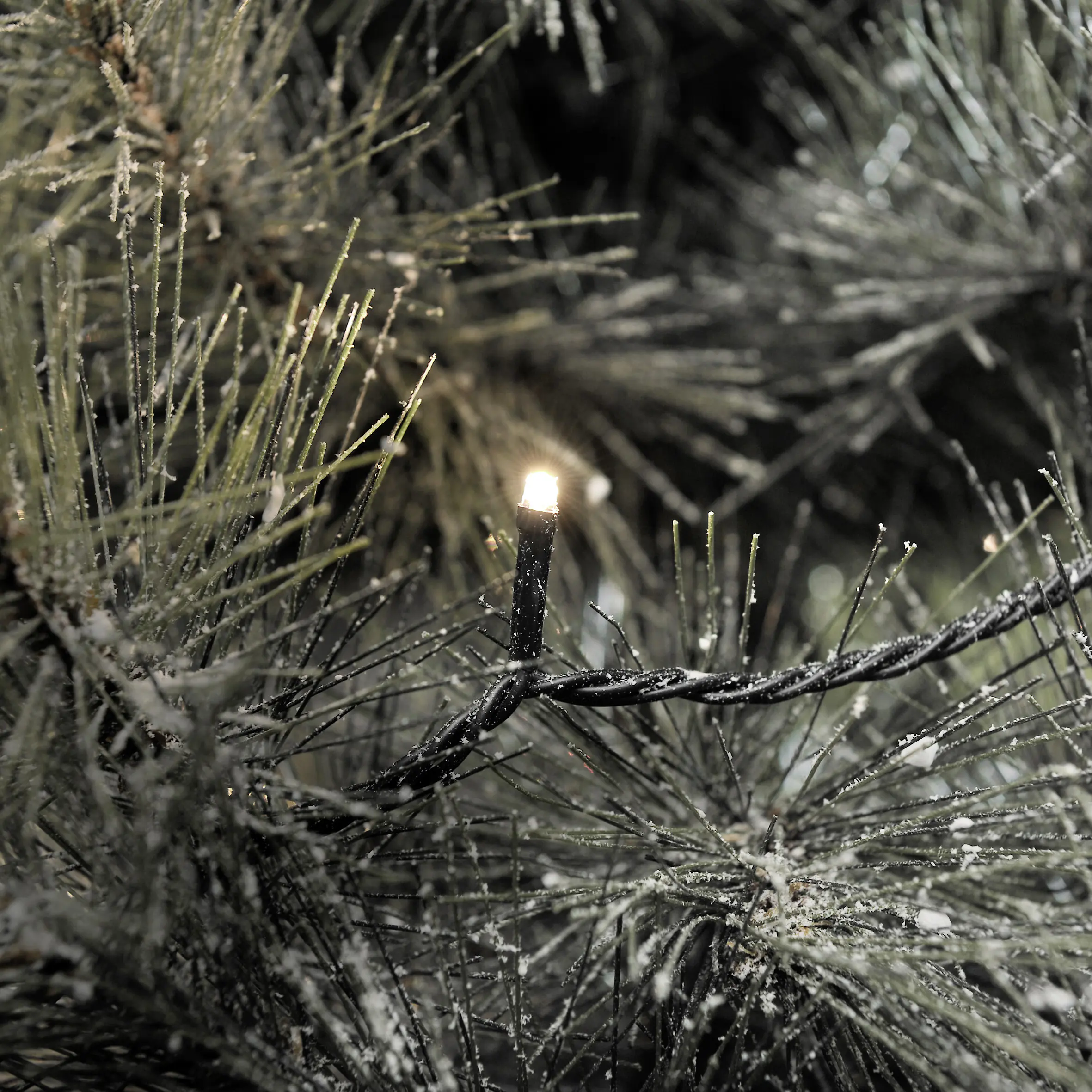 Konstsmide LED-Lichterkette Außen 16,24 m warmweiß